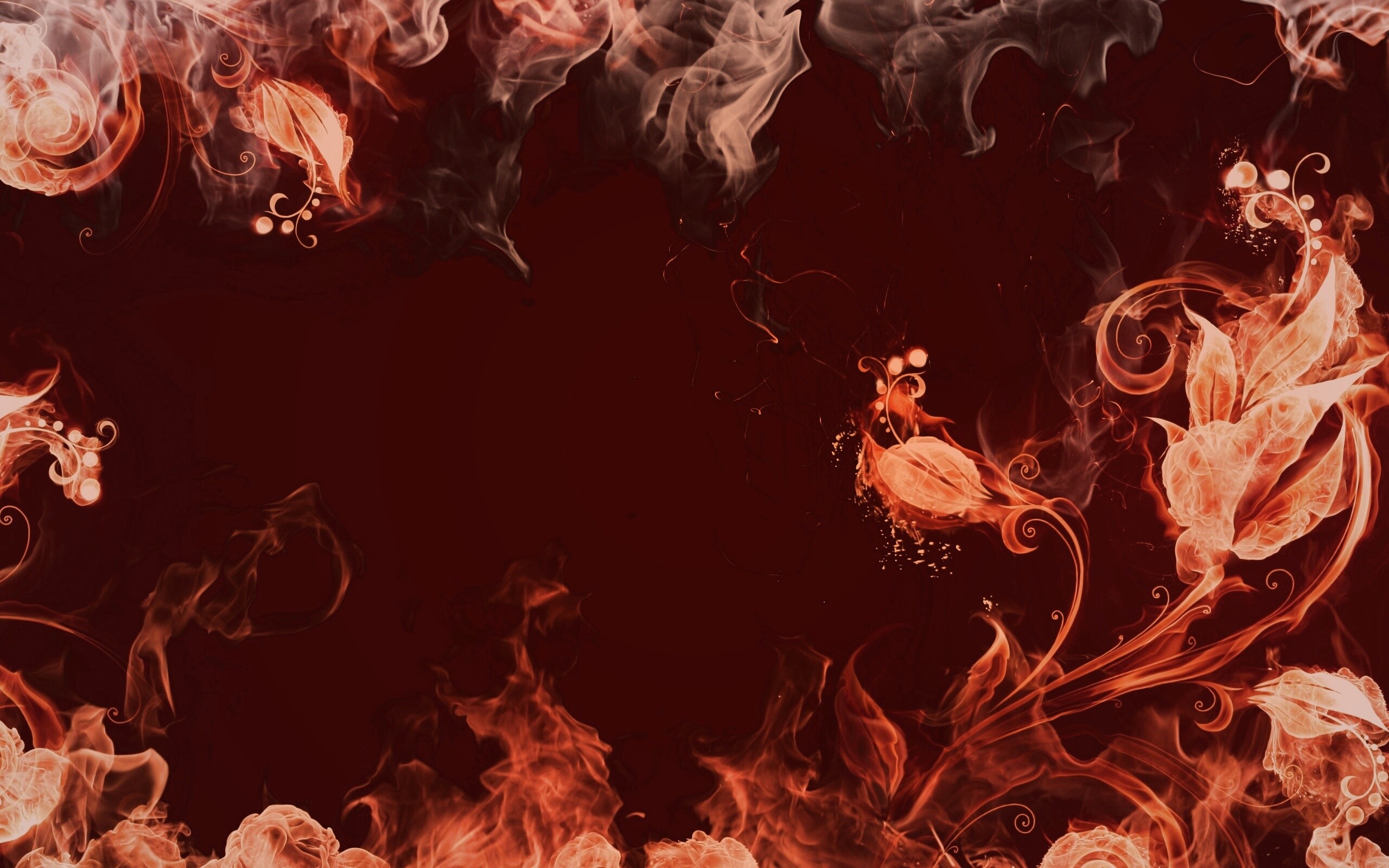 Огненные цветы обои