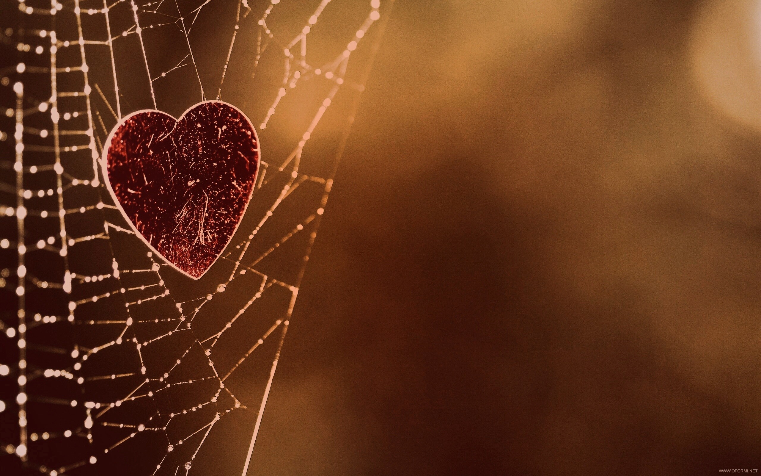 Запутавшаяся любовь.. обои