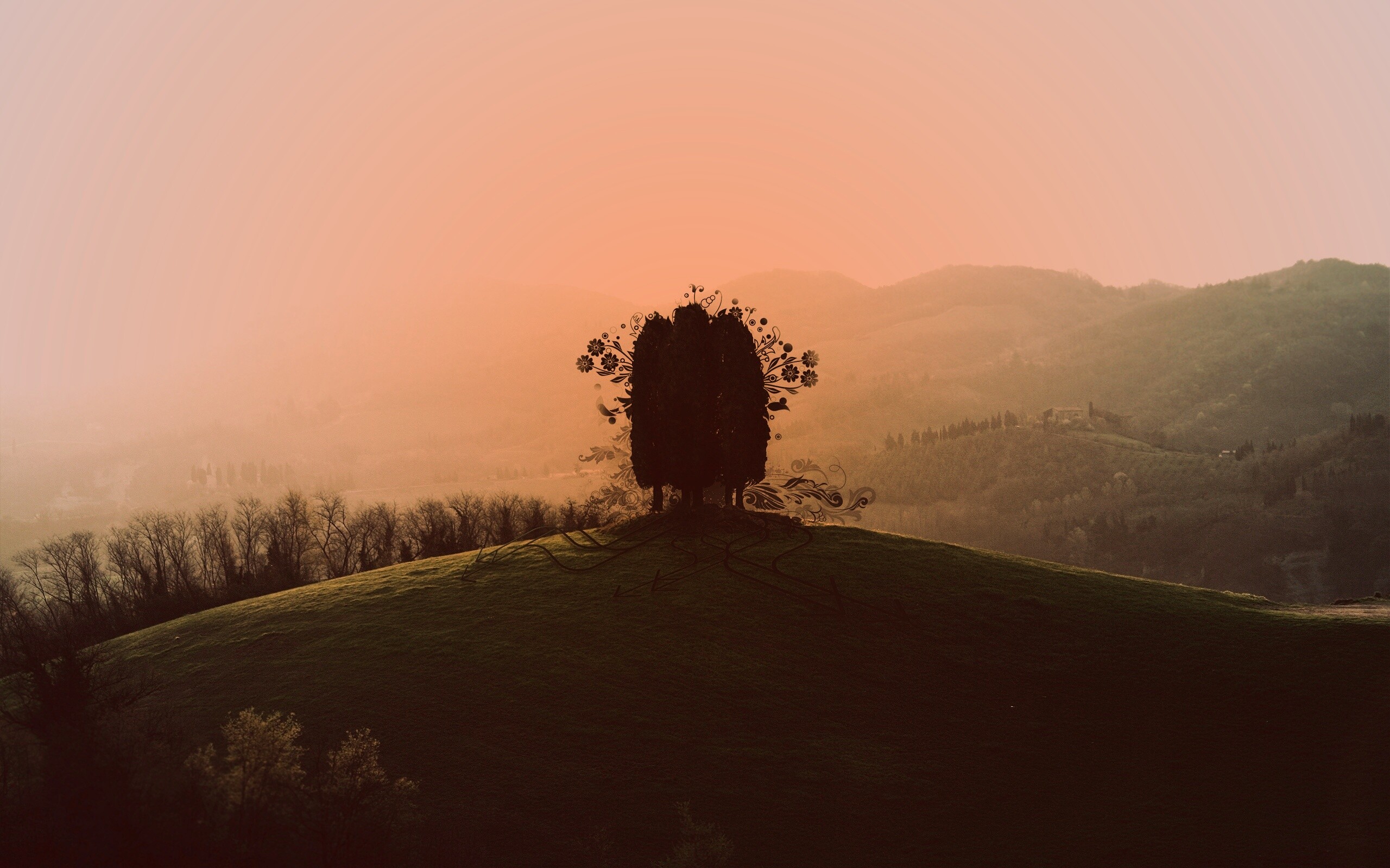 Деревья на холме обои