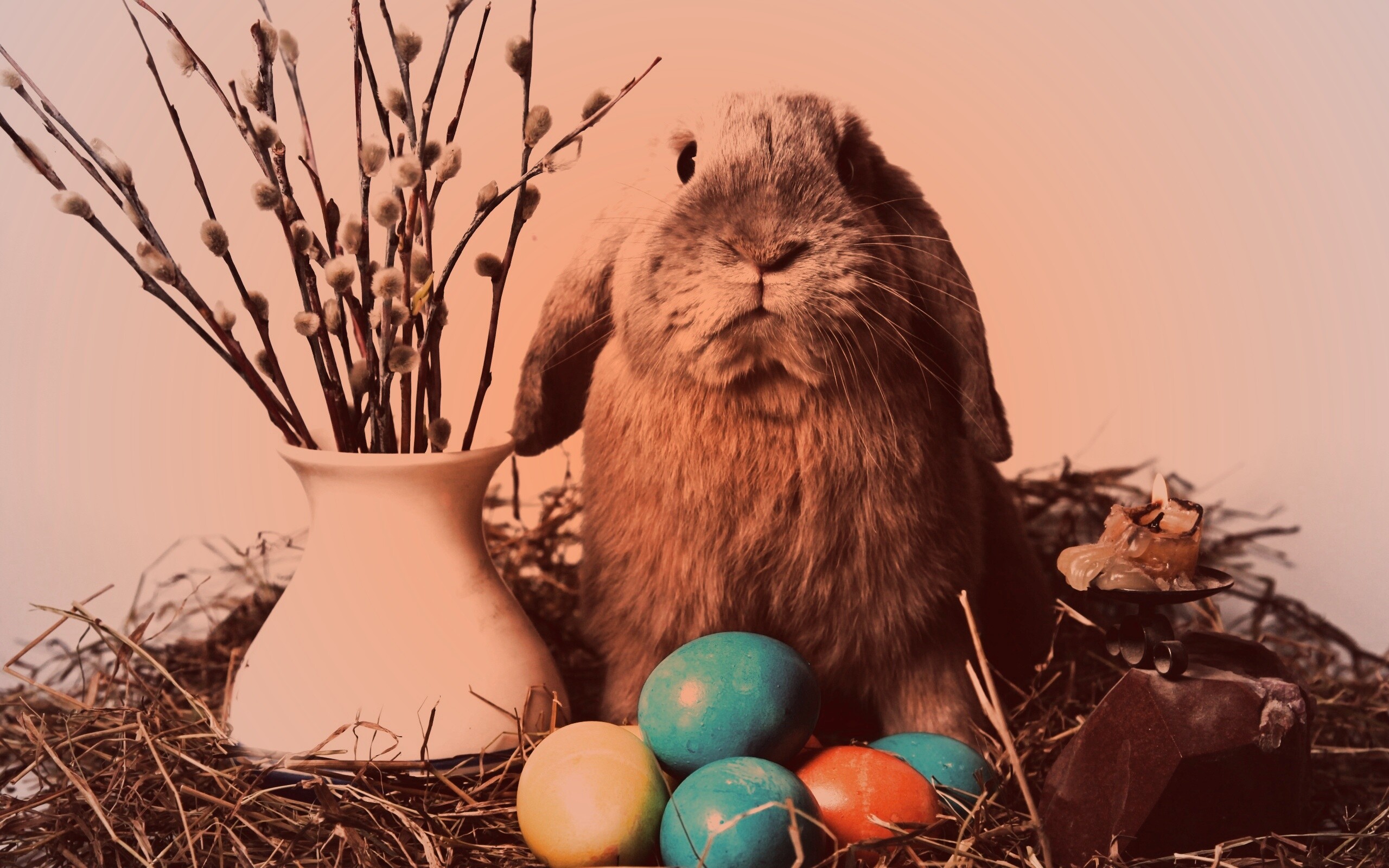 Пасхальный кролик обои