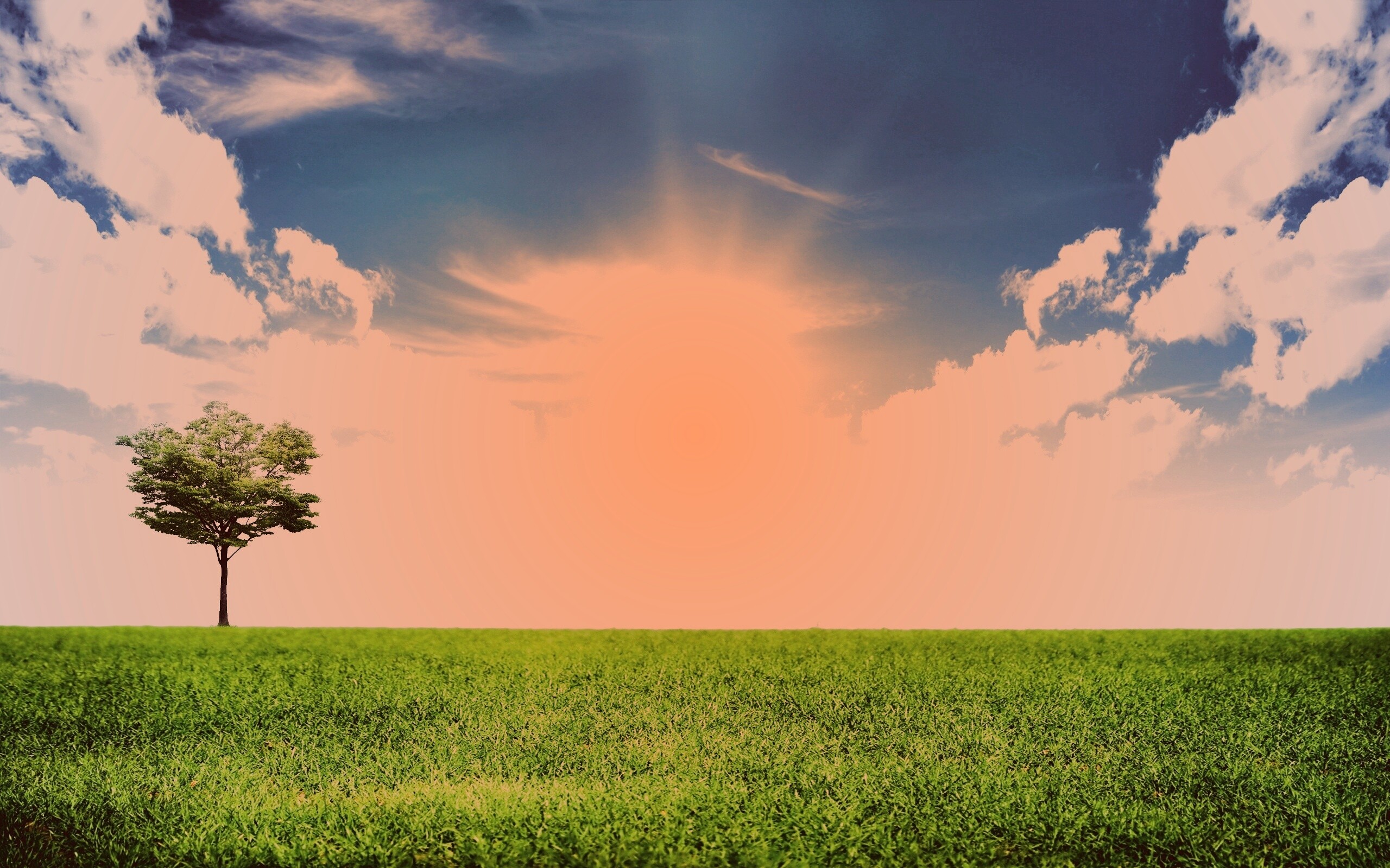 Один в целом мире обои