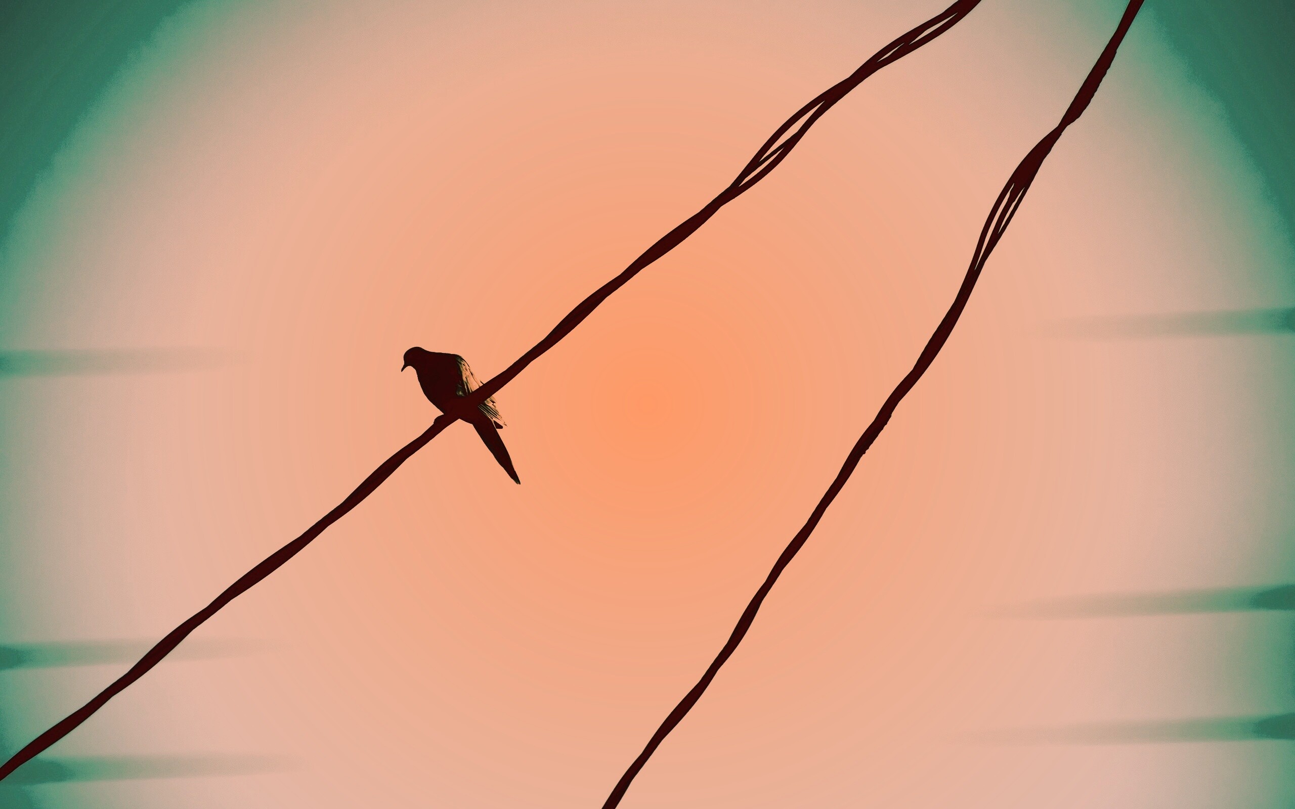 Птица на проводе обои