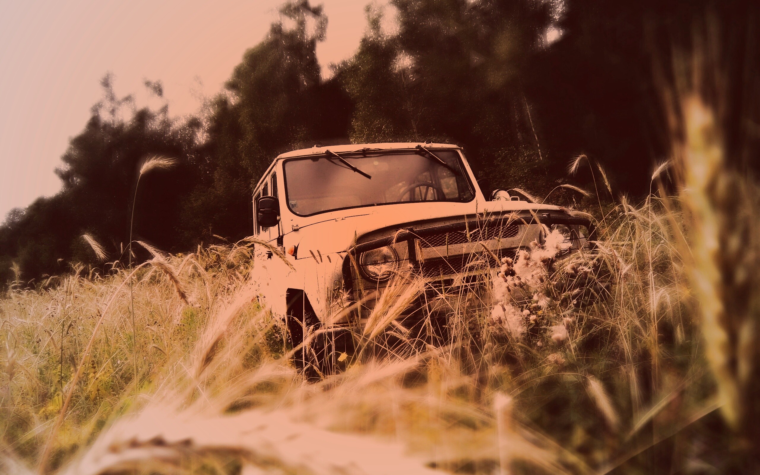 УАЗик в траве обои