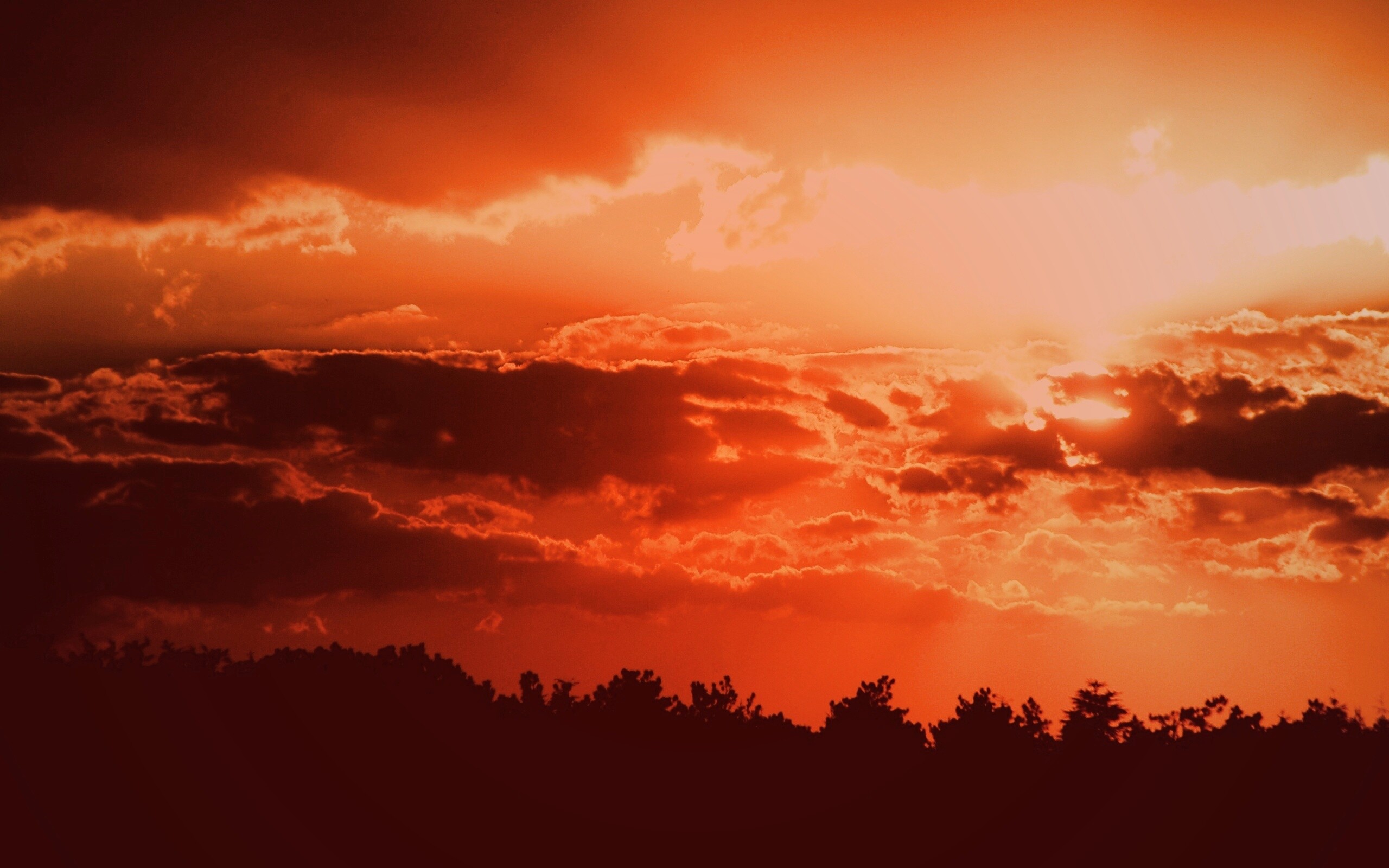 Ярко-оранжевое закатное небо обои