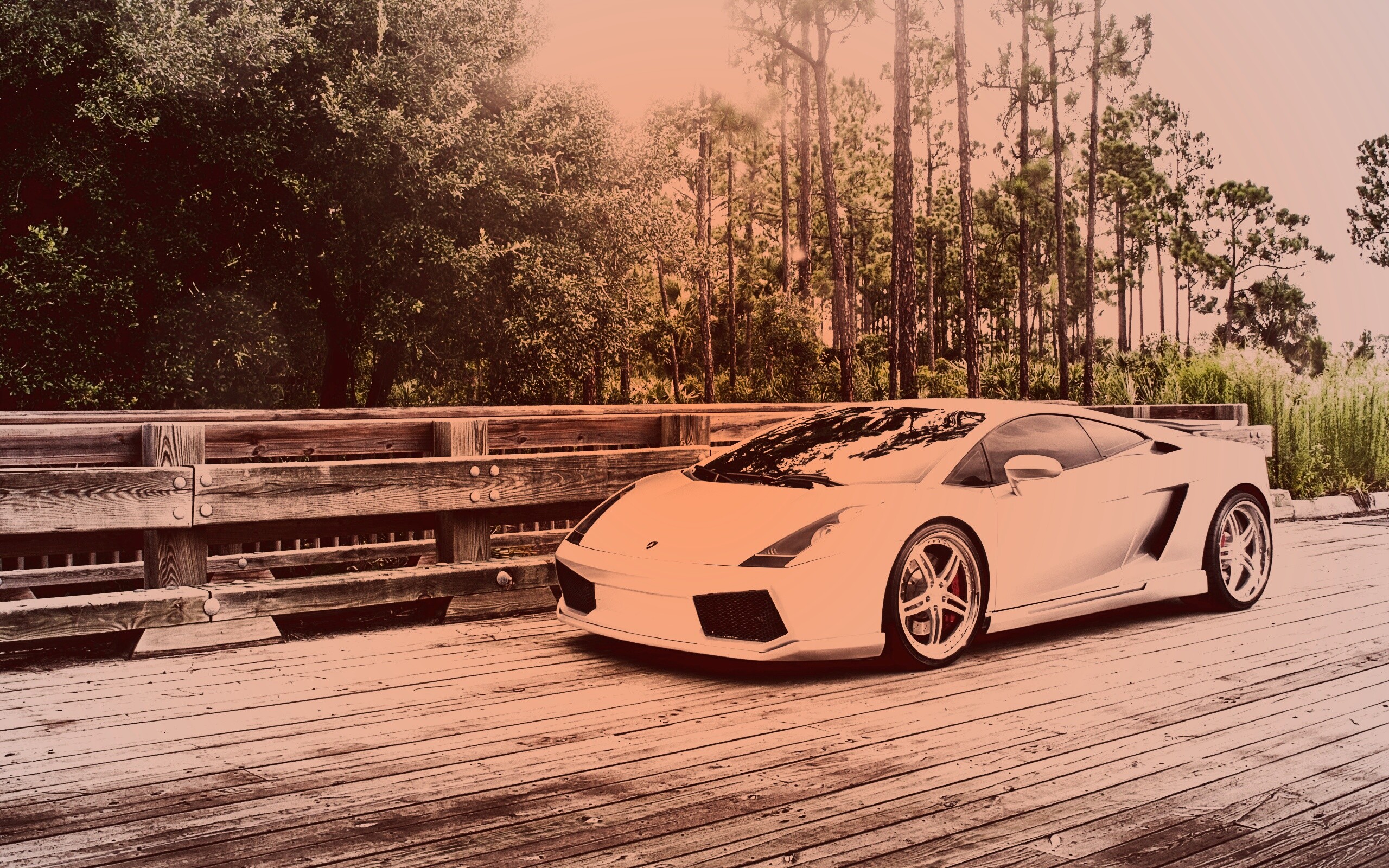 Ламбоджини на мосту в лесу обои