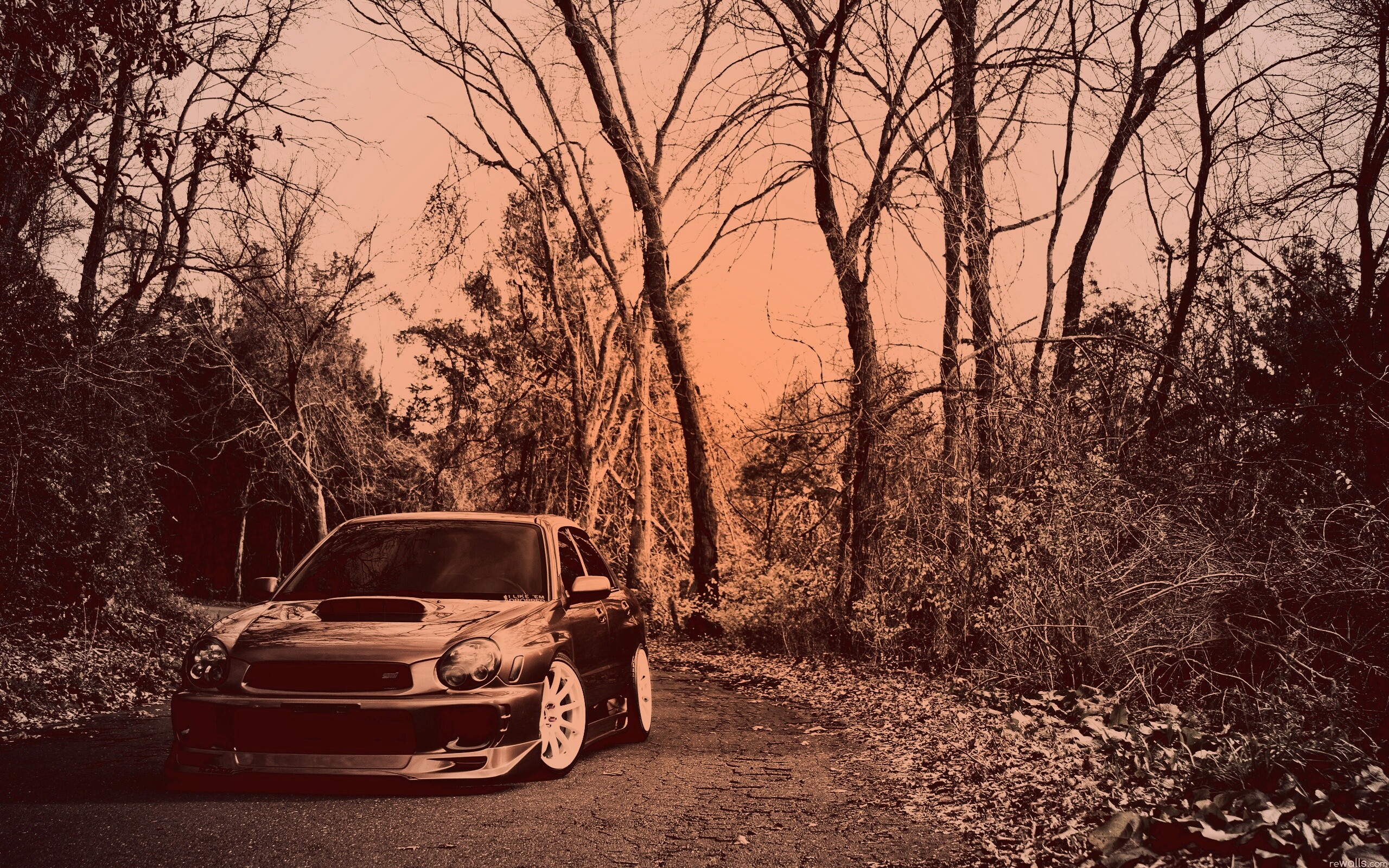 Субару Импреза на лесной дороге обои
