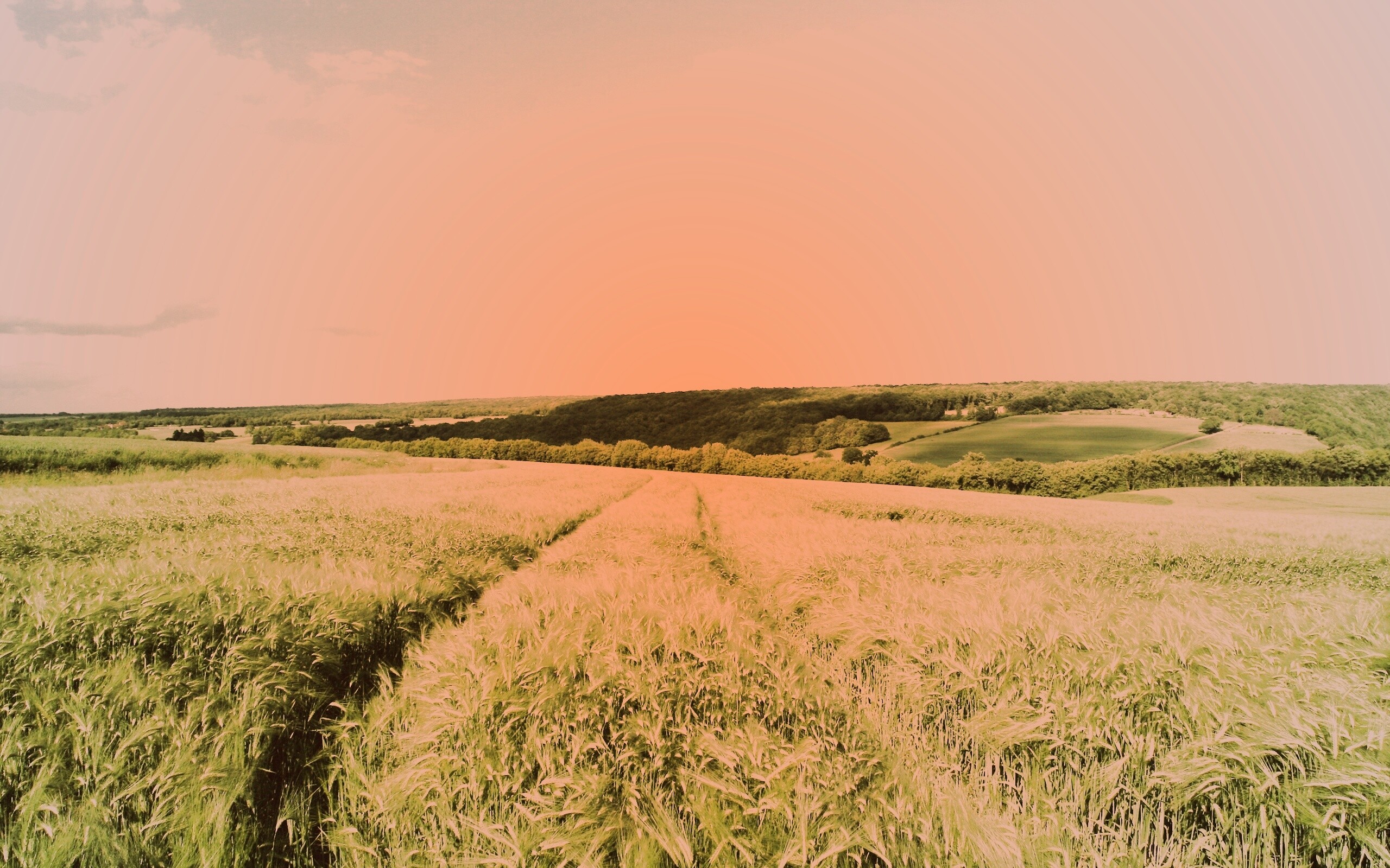 Бескрайние просторы обои