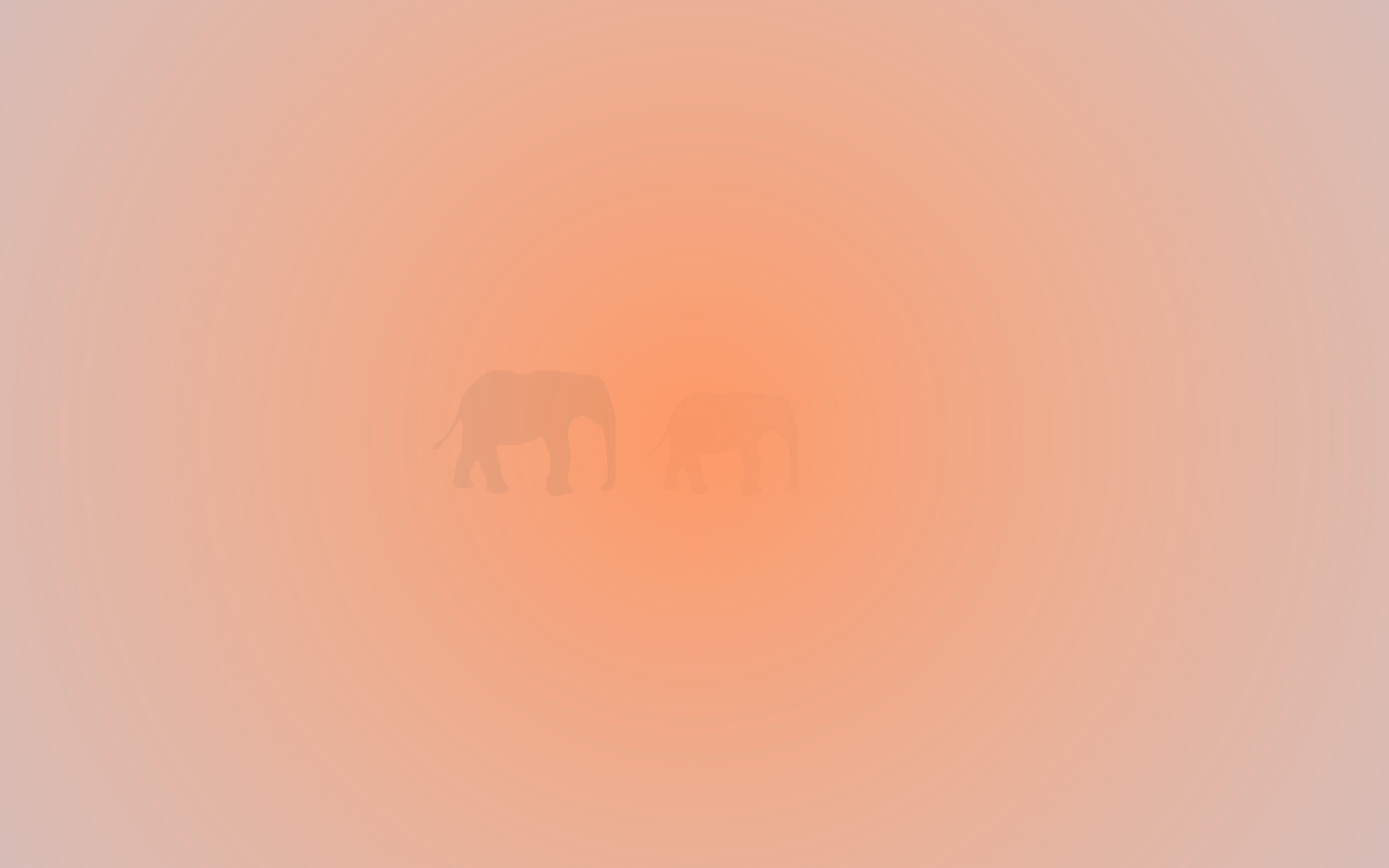 Вереница слонов обои