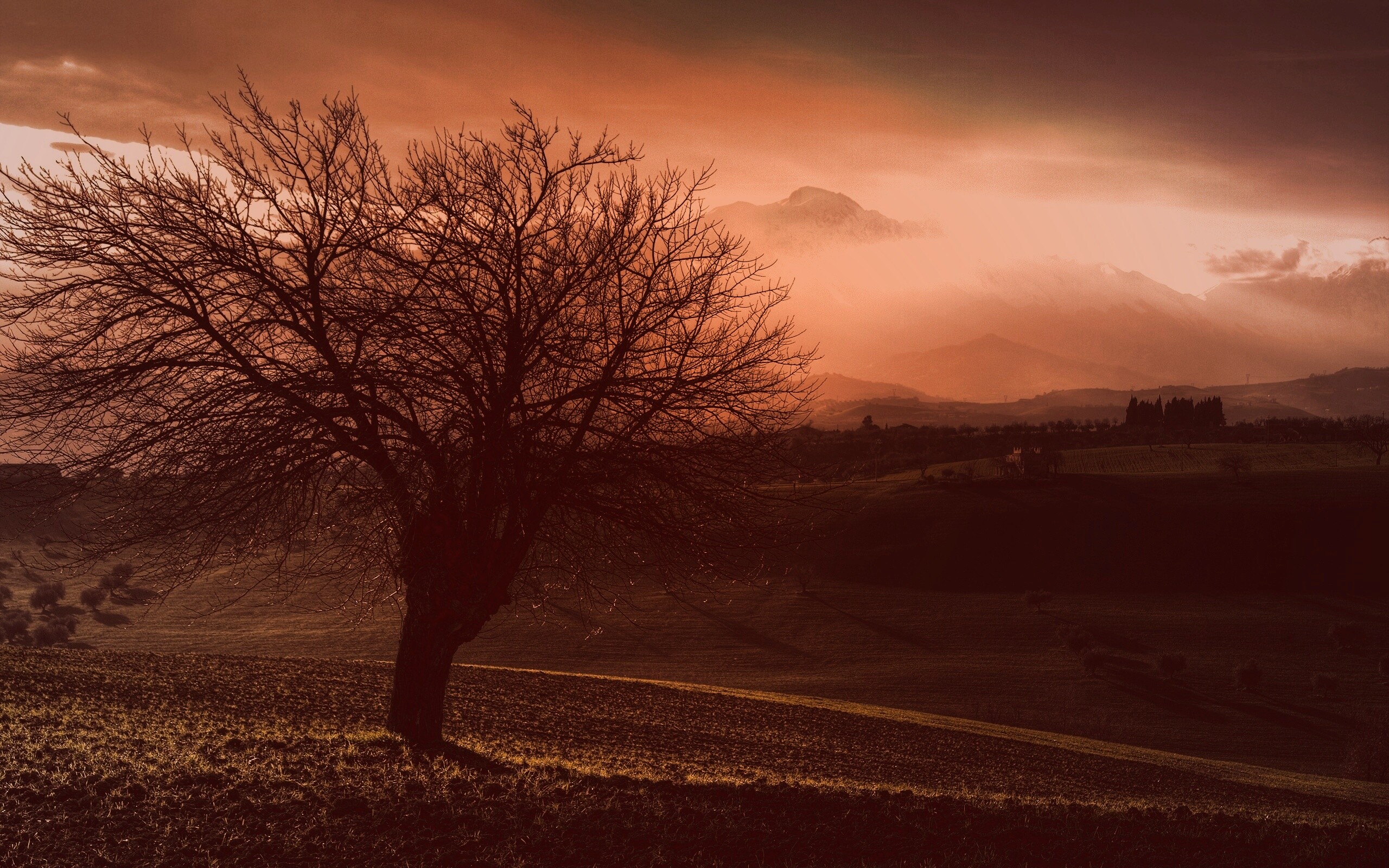 Дерево и горы обои