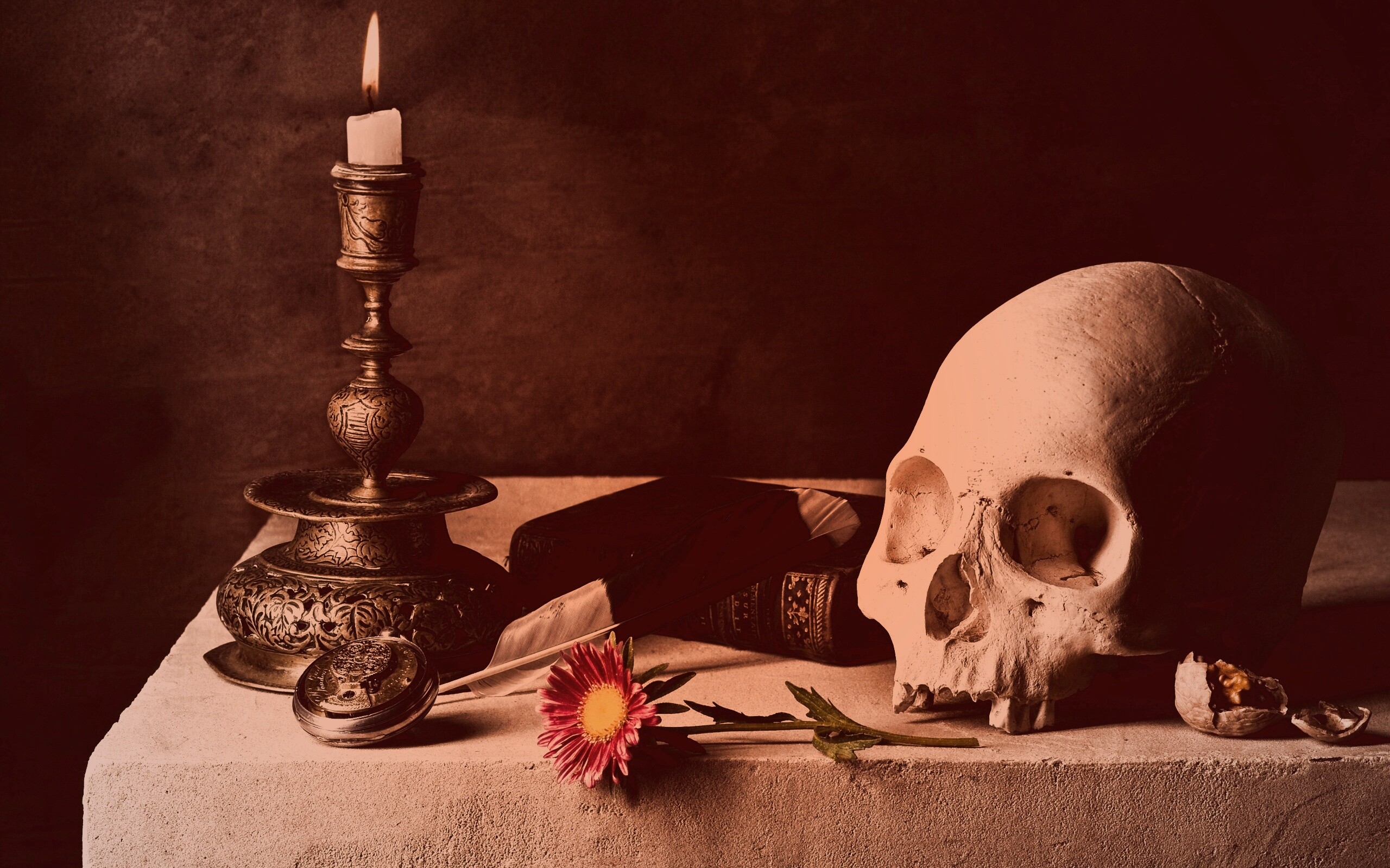 Проблеск в темноте обои