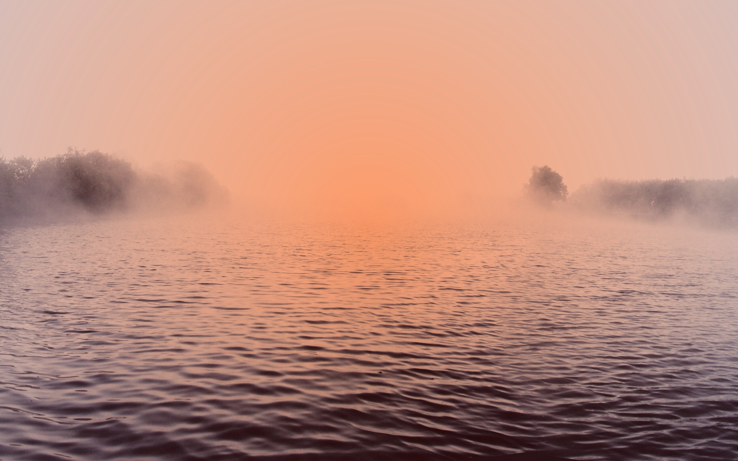 Речной туман обои