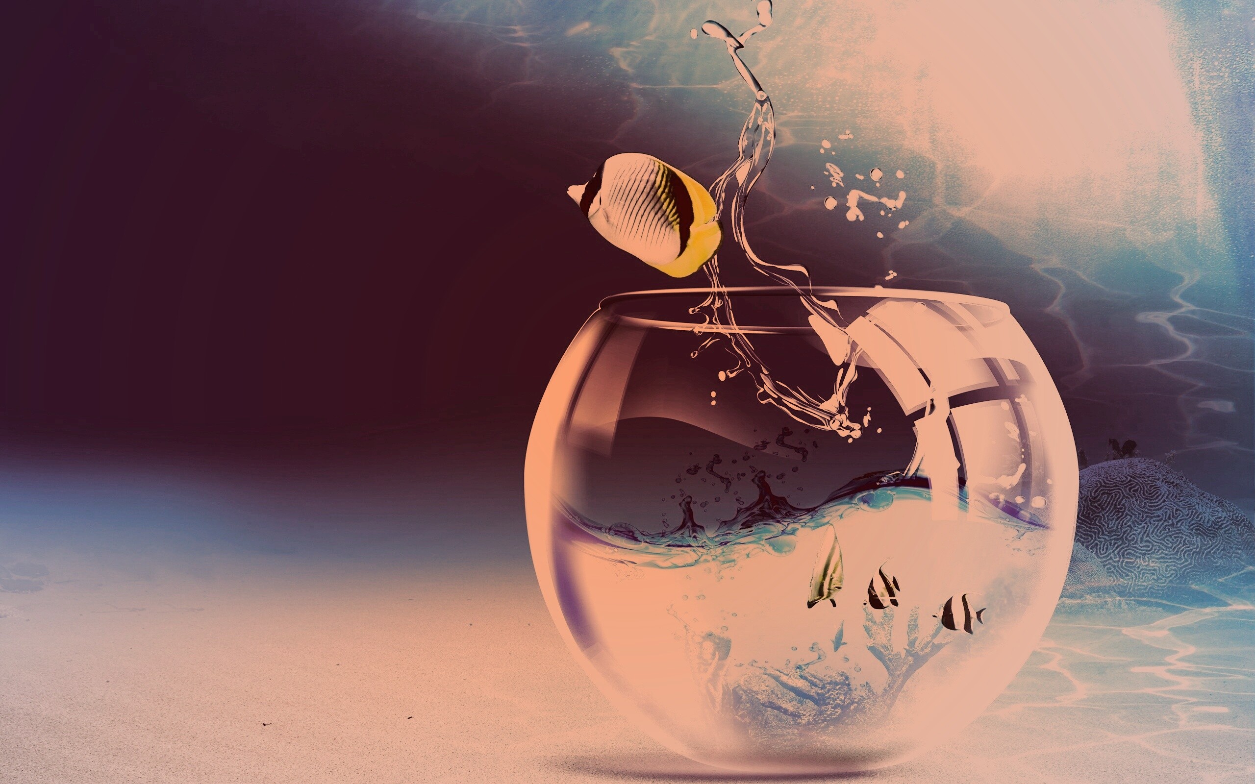 Аквариум с рыбками обои