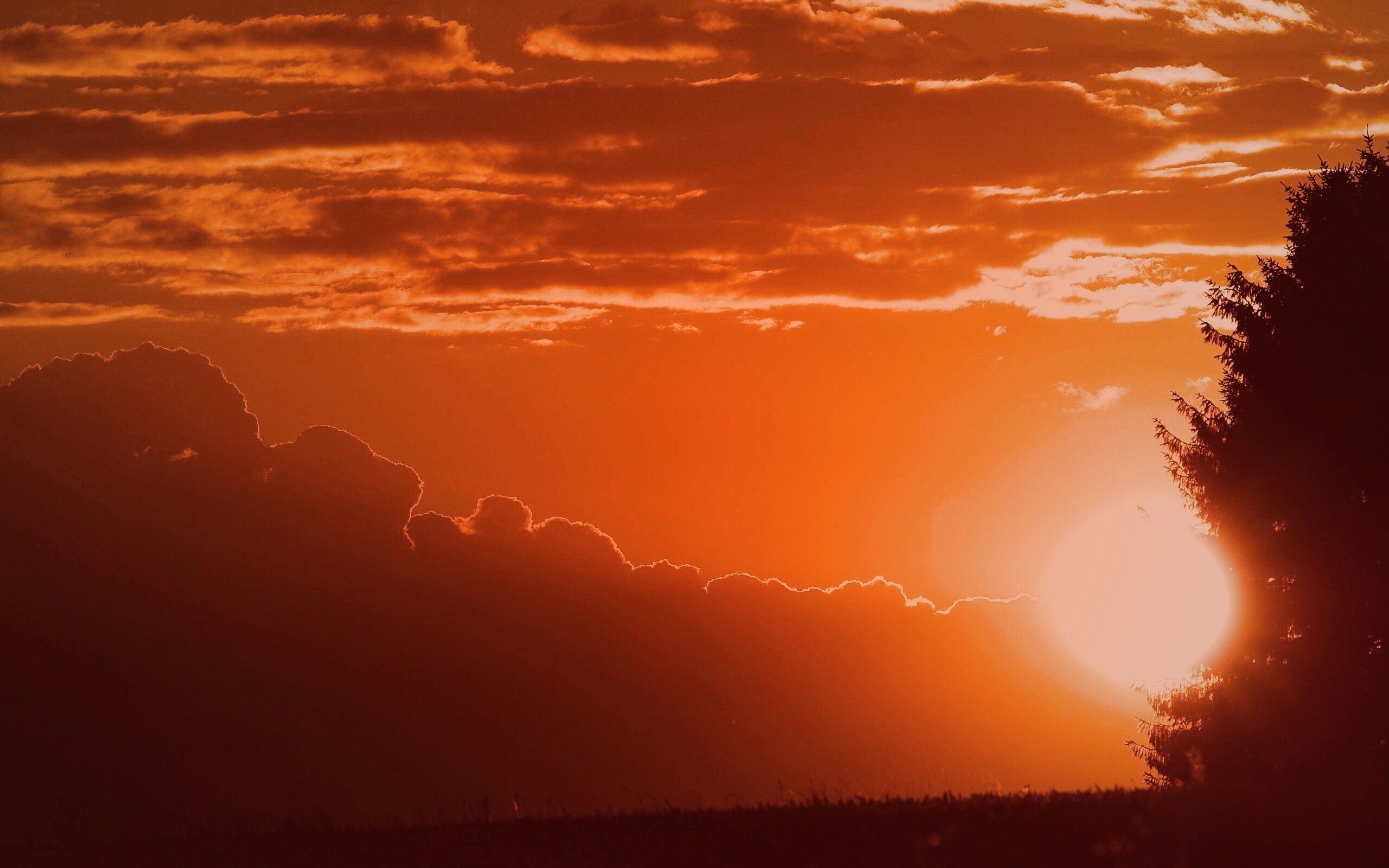 Теплый закат над полем обои