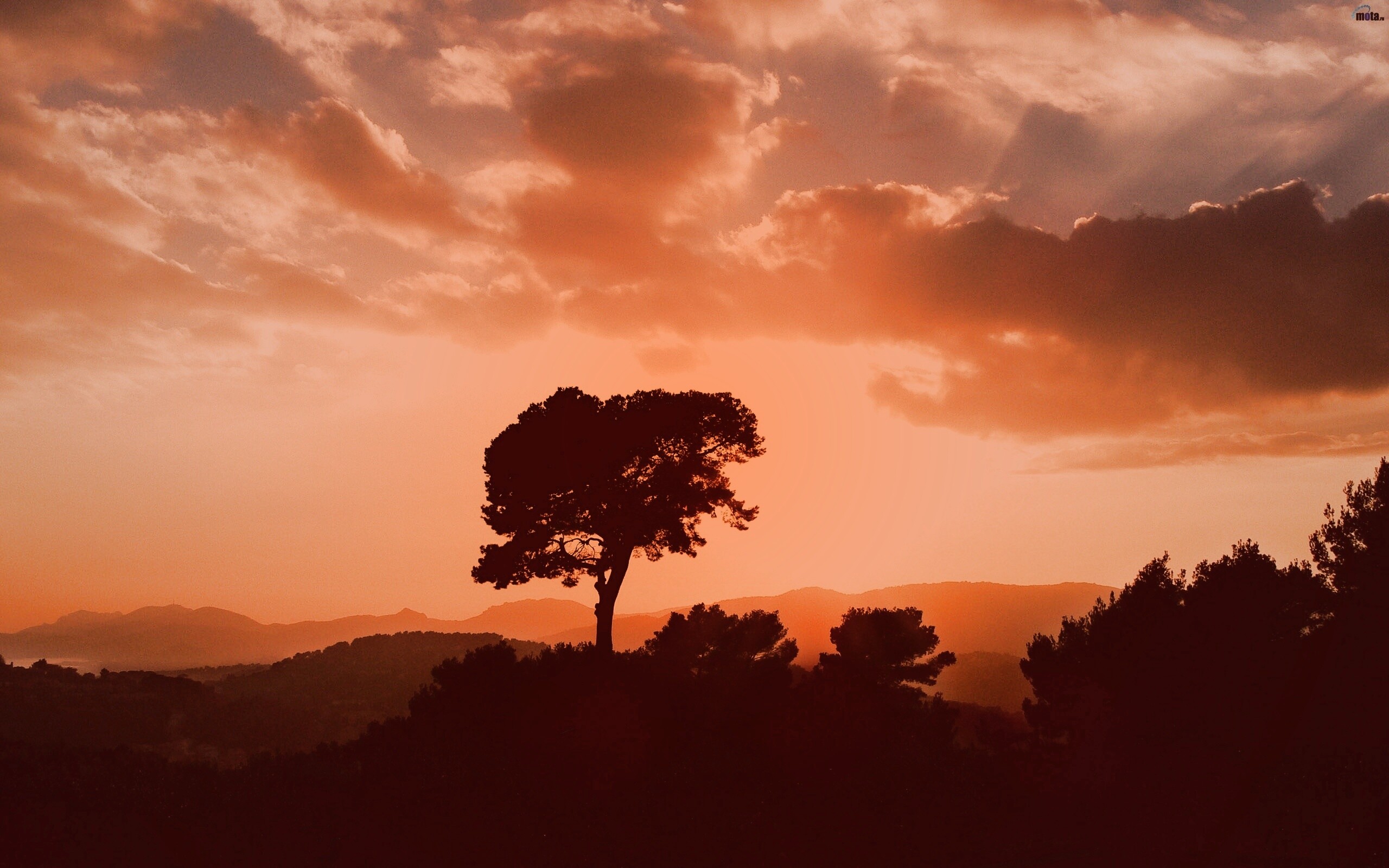 Закат над холмами обои