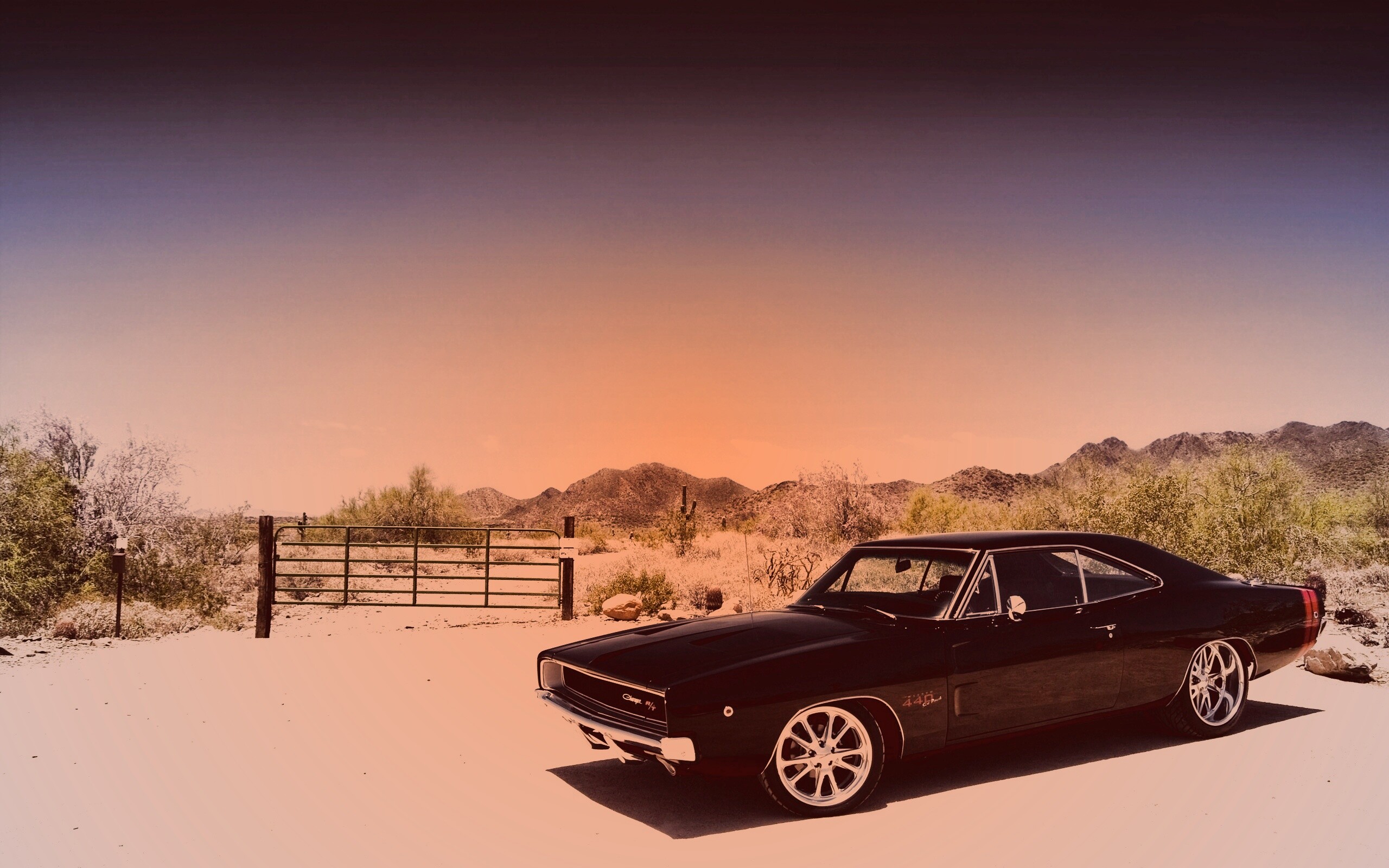 Мускулкар под палящим солнцем обои