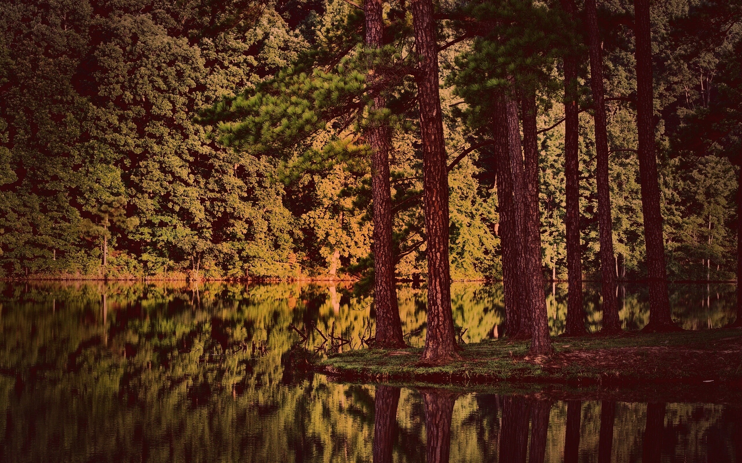 Островок посреди озера обои