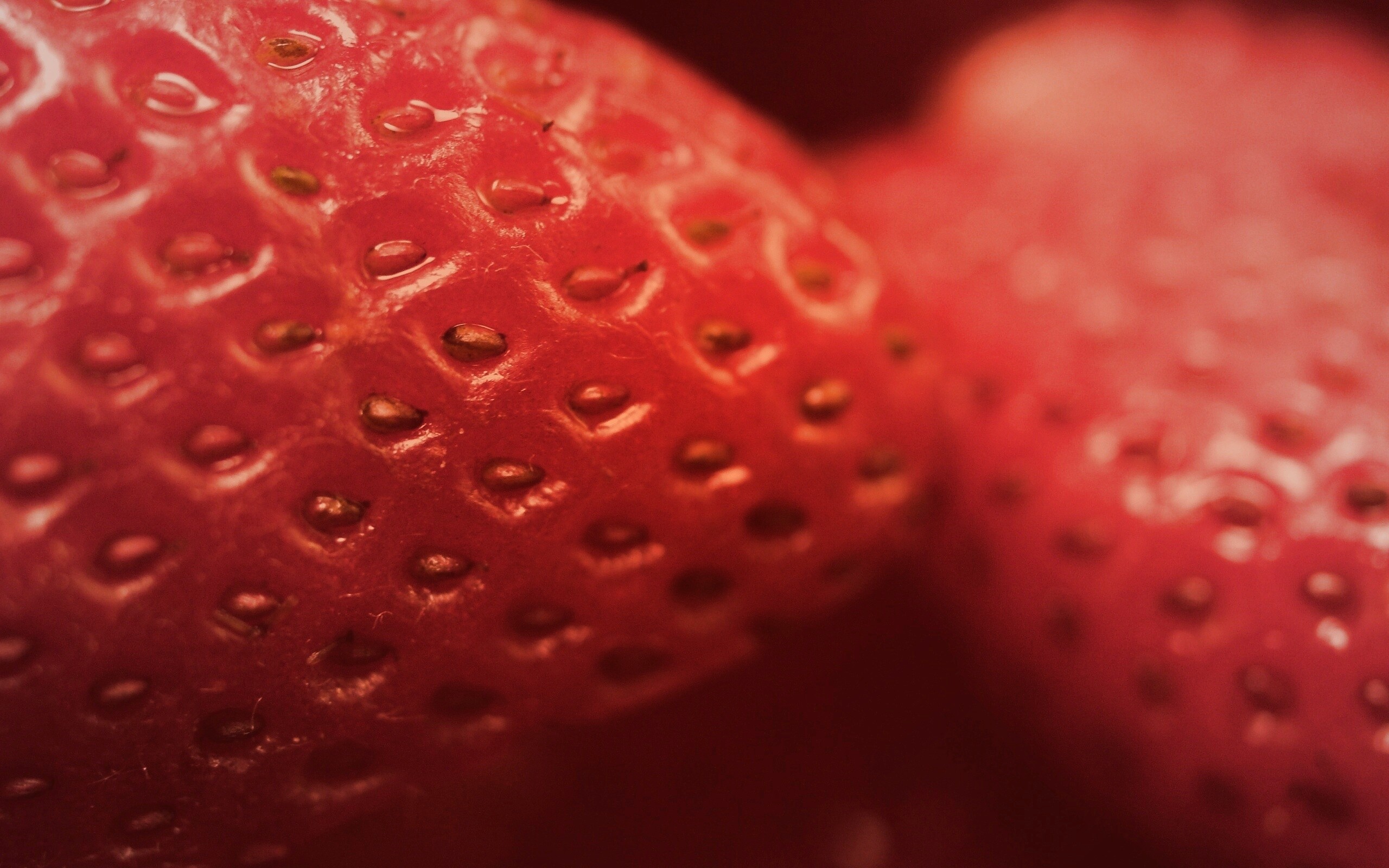 Нежная клубничка обои