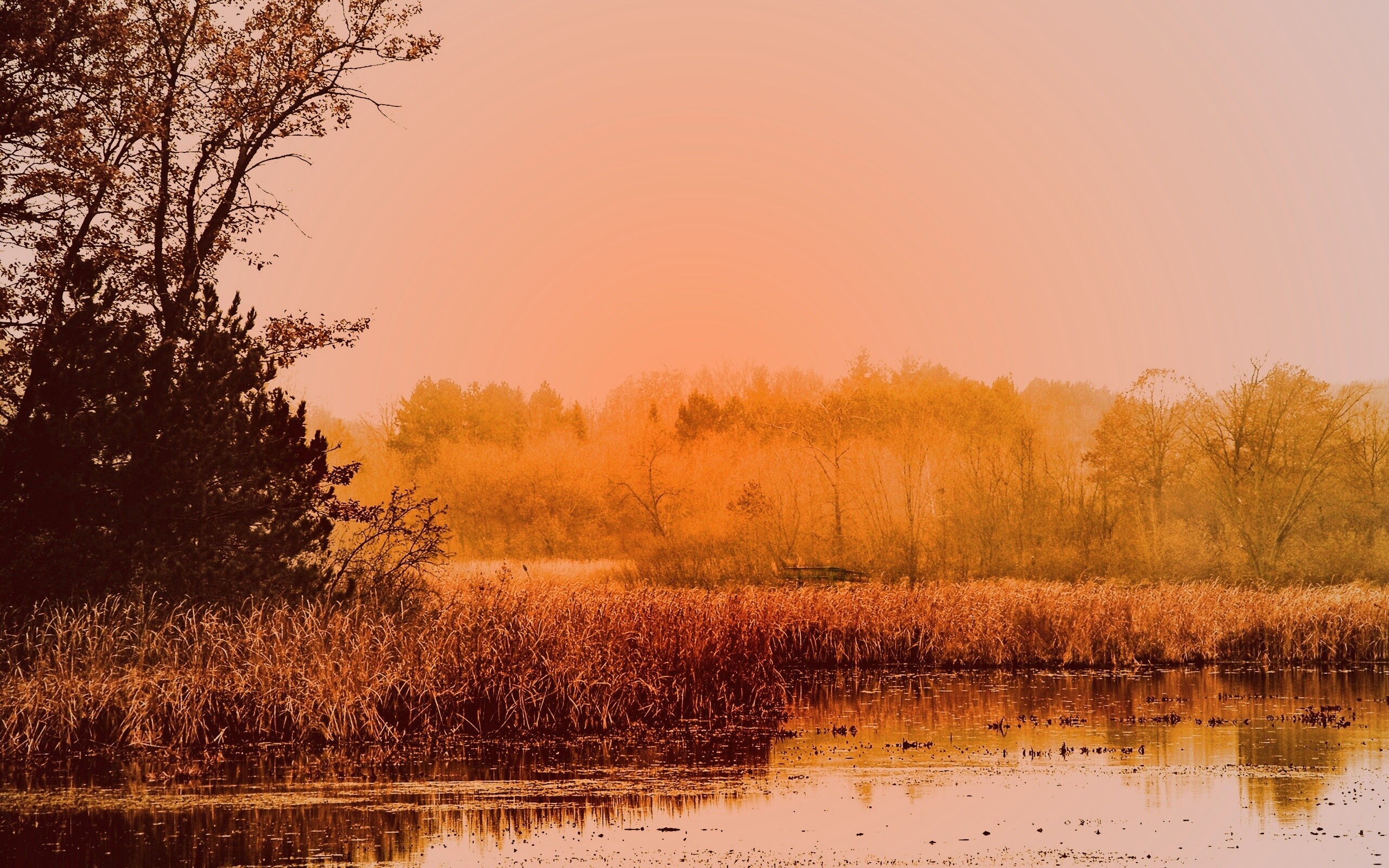 Живописные болота обои