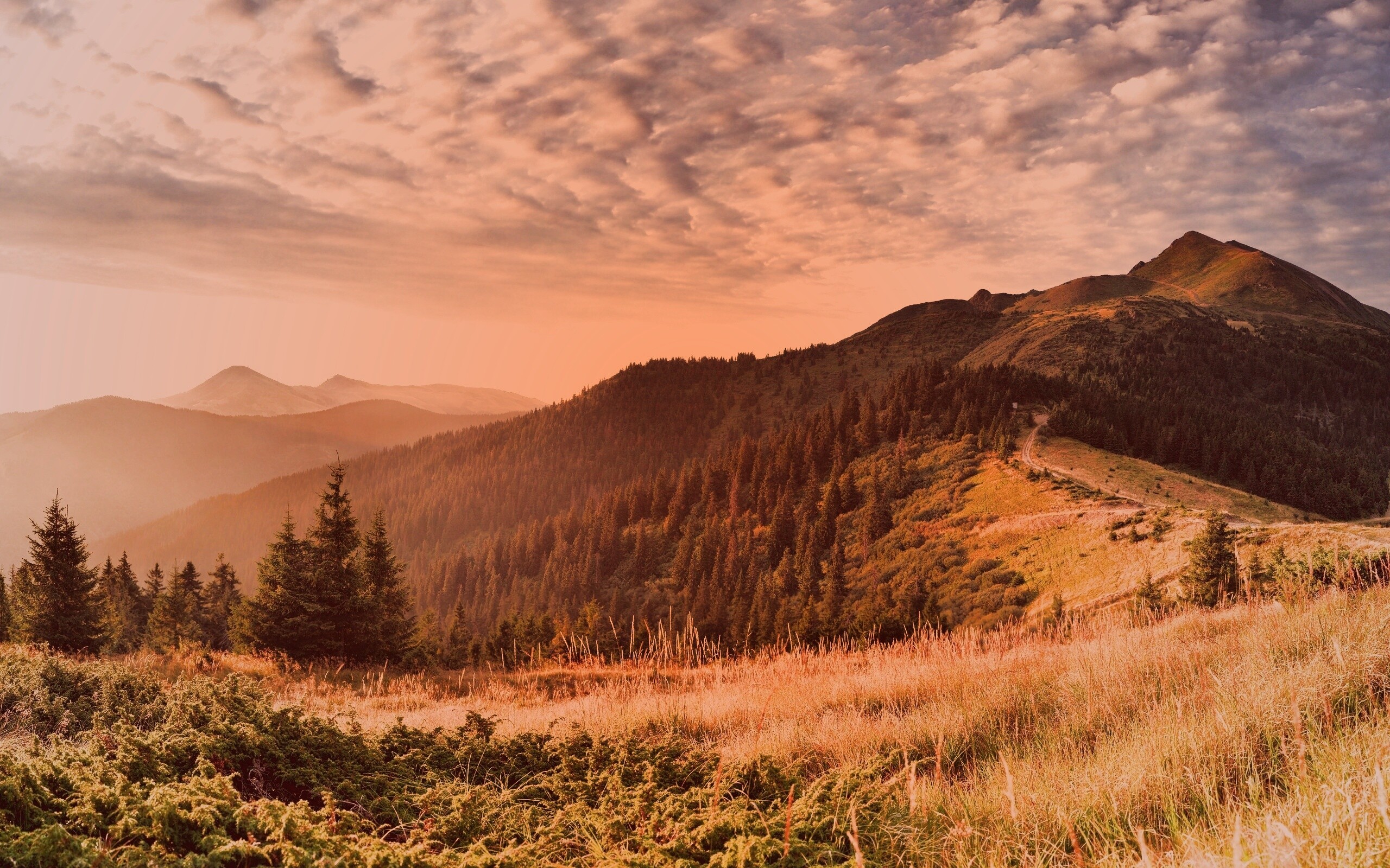 Предгорье обои