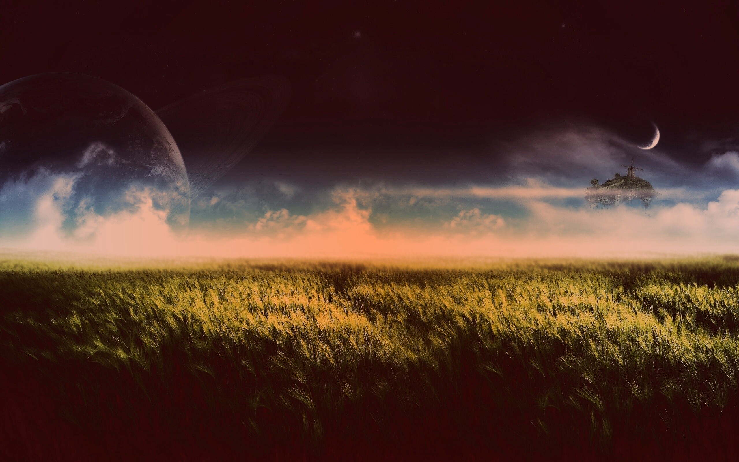 Луг на другой планете обои