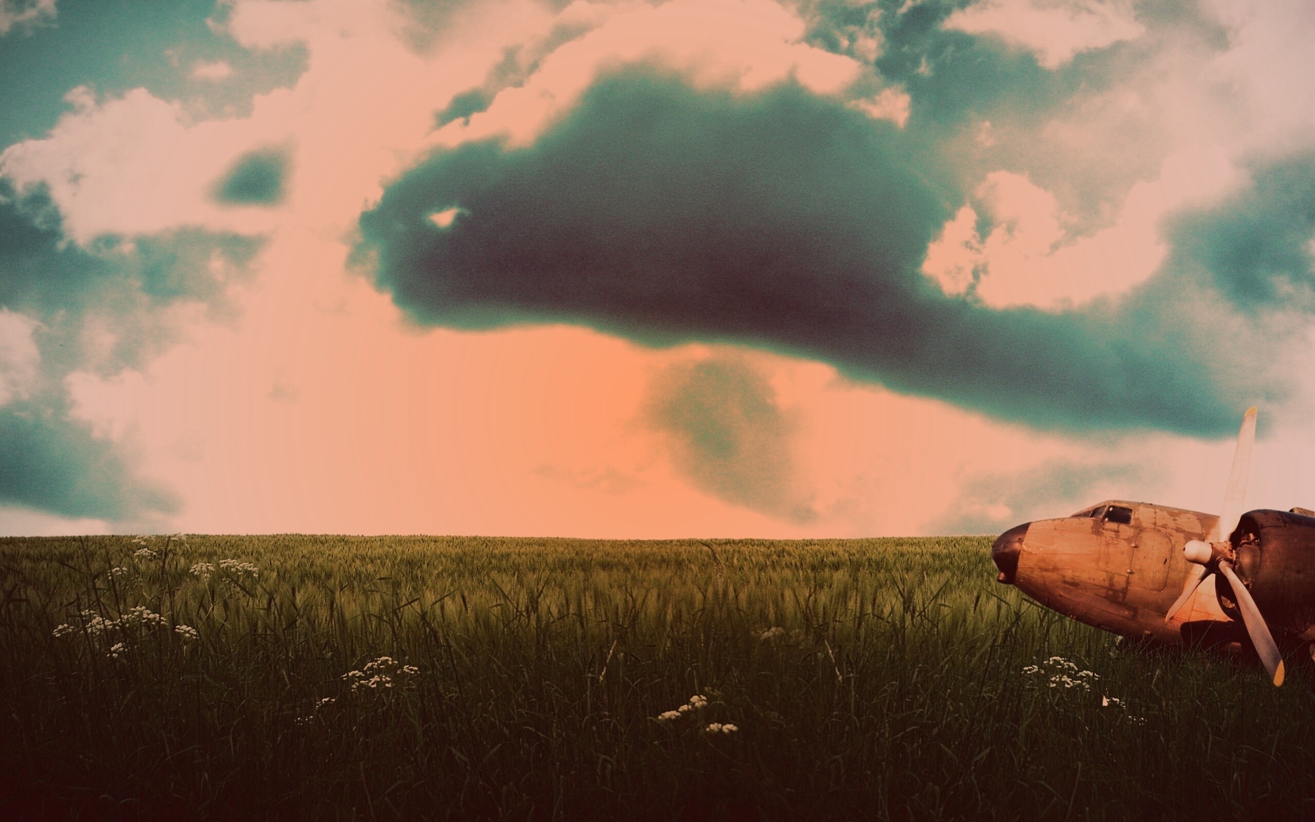 Старый ржавый самолет на лугу обои