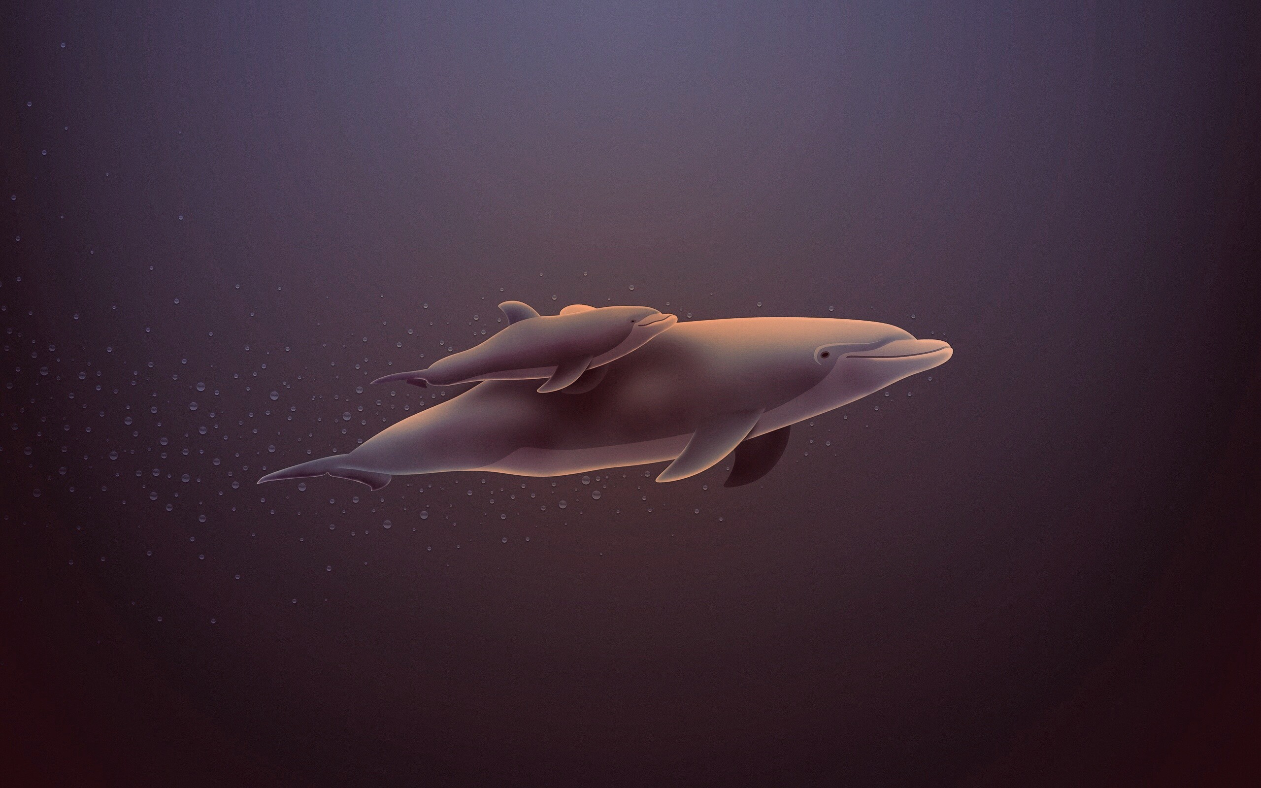 Дельфин и дельфиненок обои