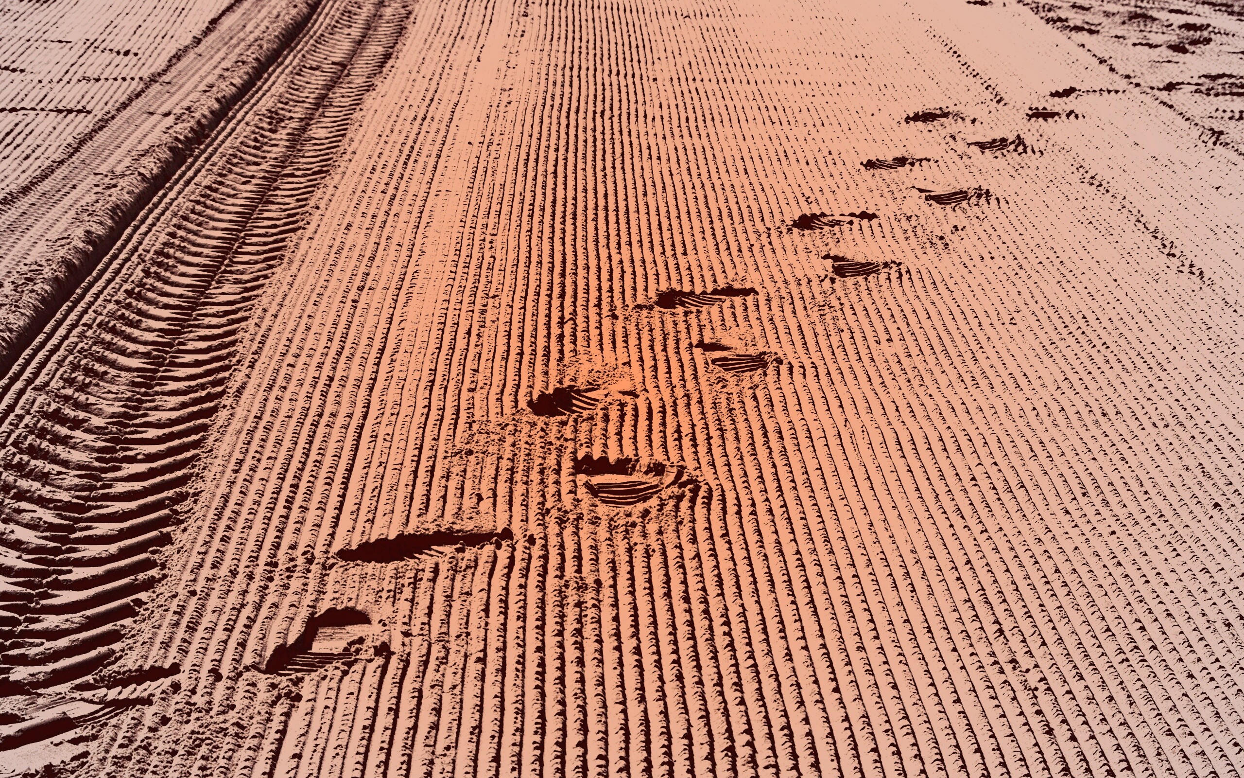 Следы на песке обои