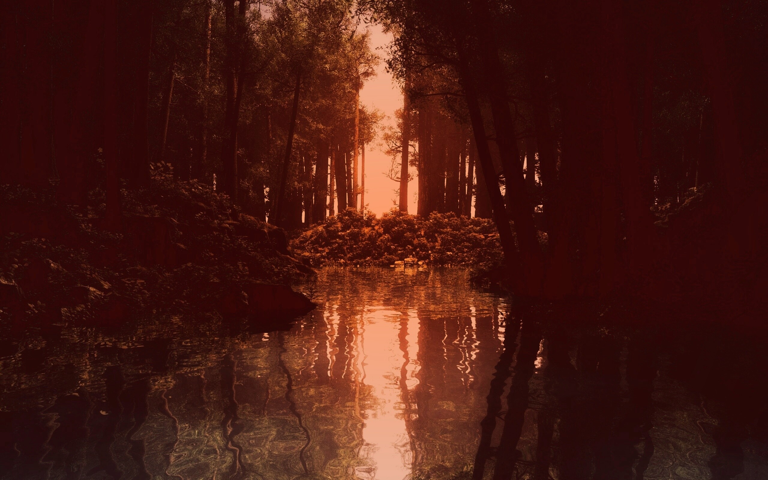 Болото в лесу обои