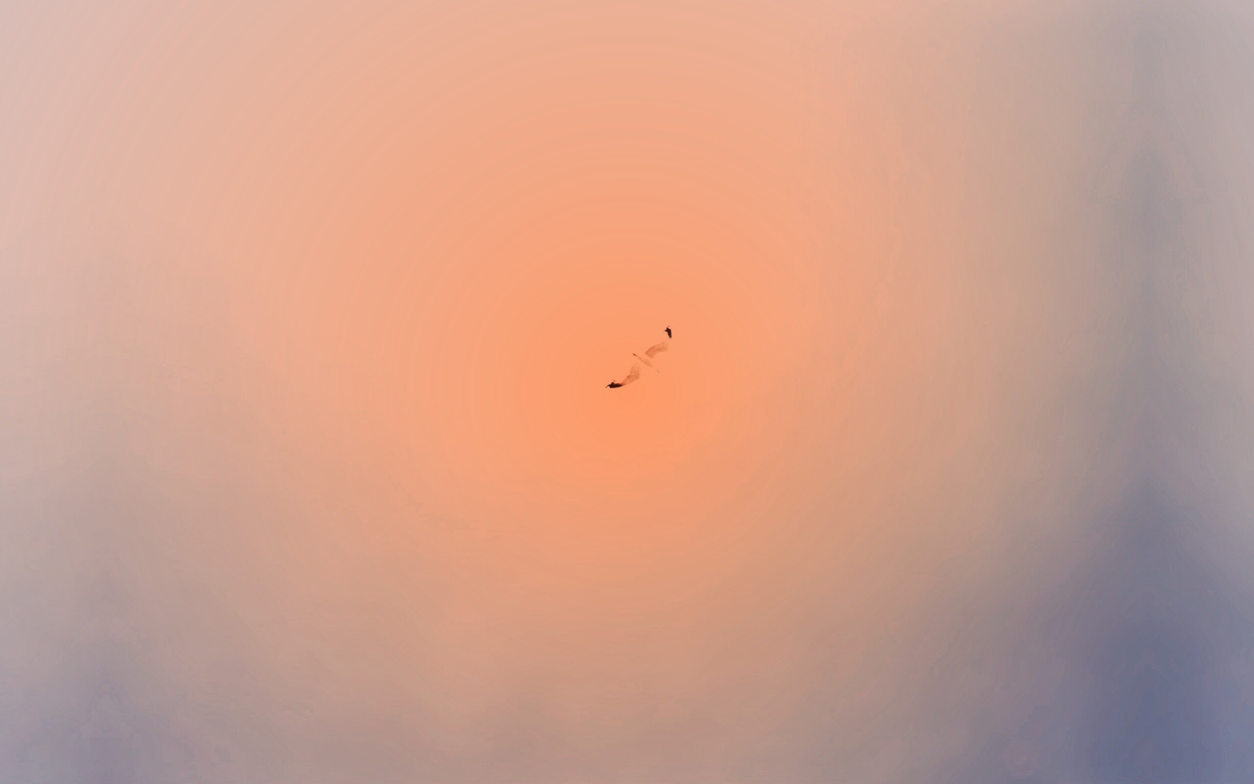 Полет  обои