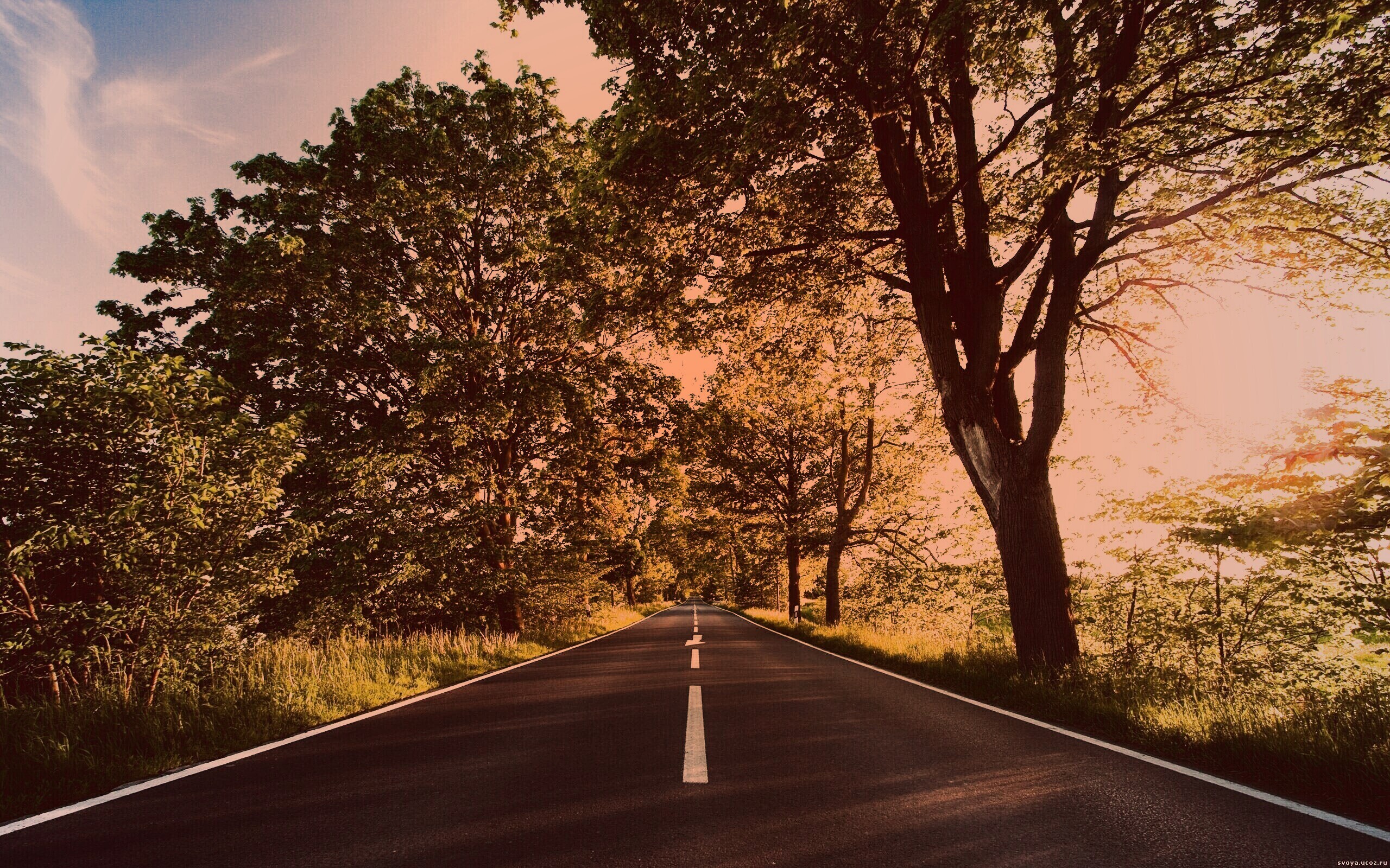 Прямая дорога обои
