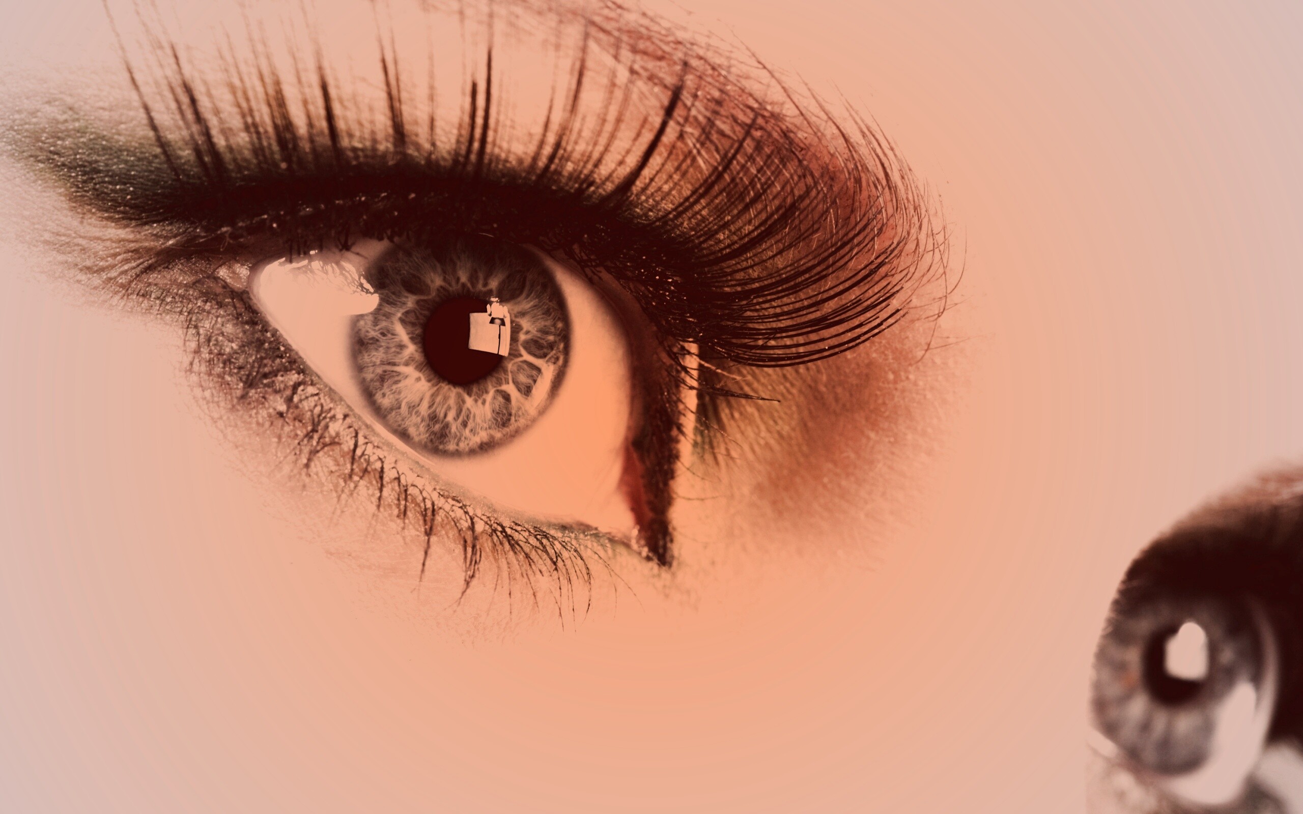 Глаза цвета стали обои