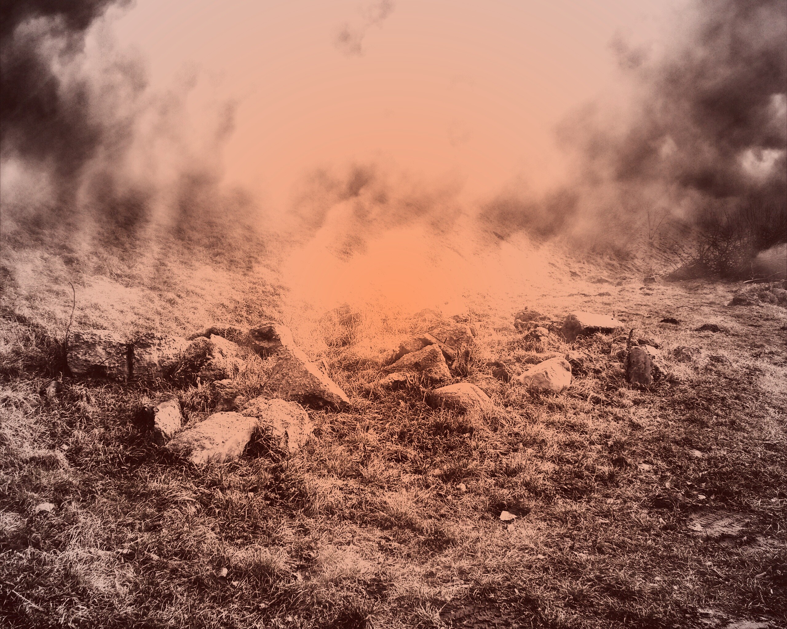 Туман на склоне обои