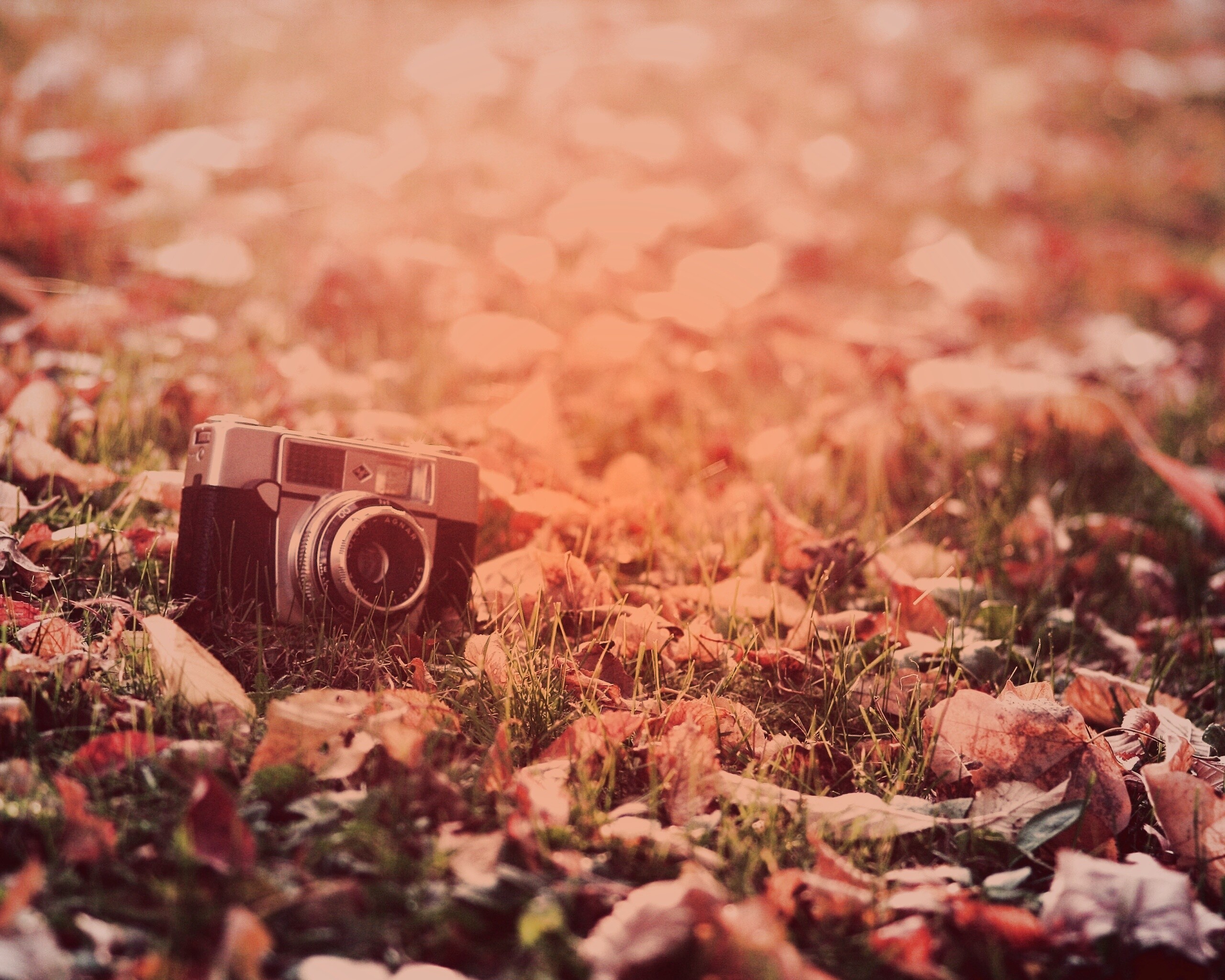 Старый фотоаппарат в траве обои