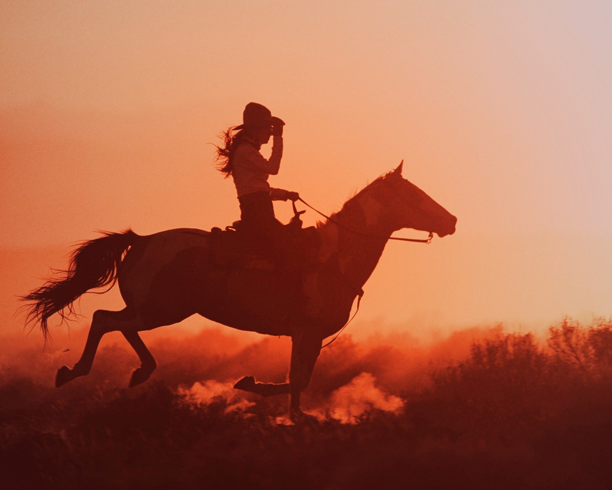 Наездница на закате обои