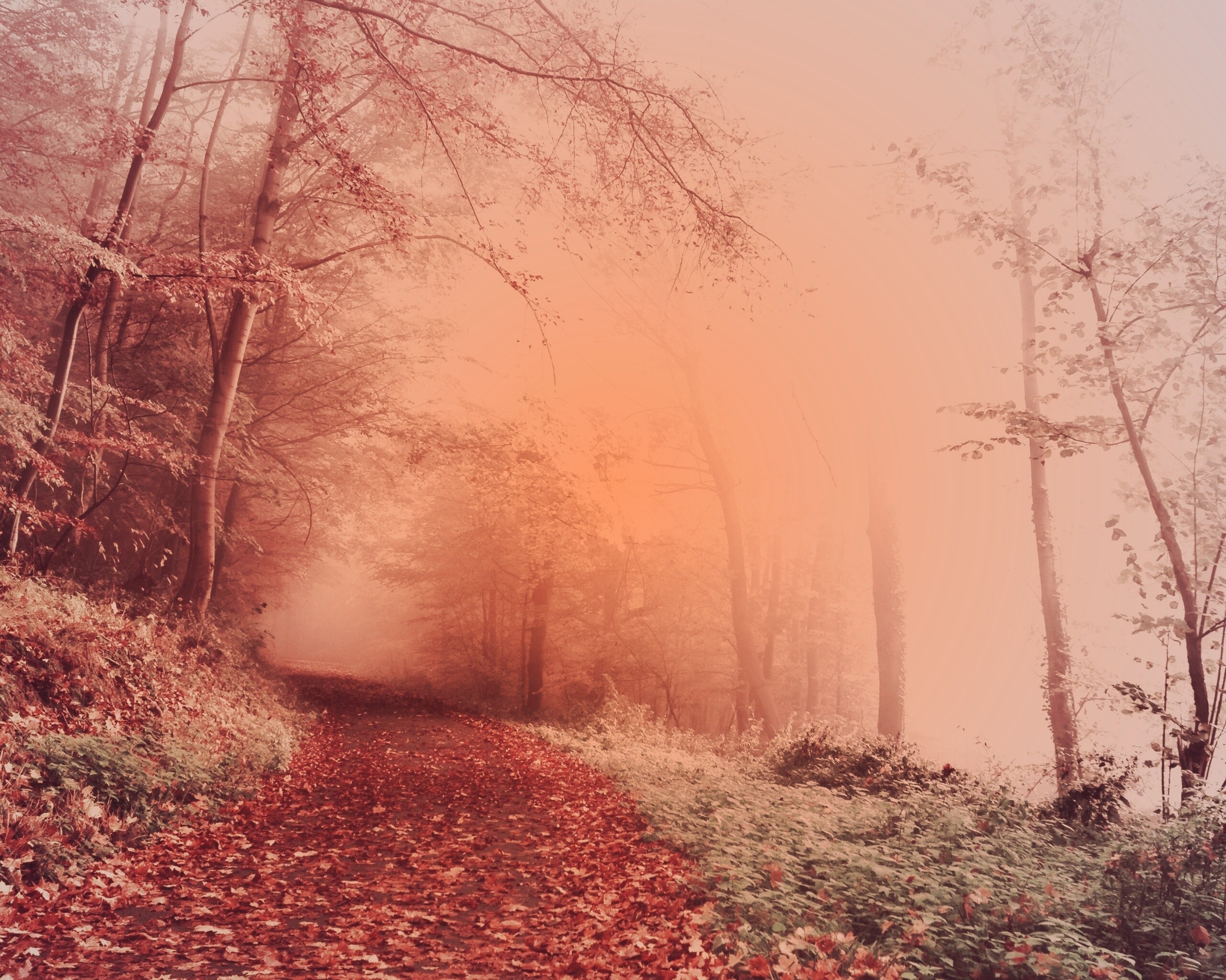 Осенний мистический пейзаж обои