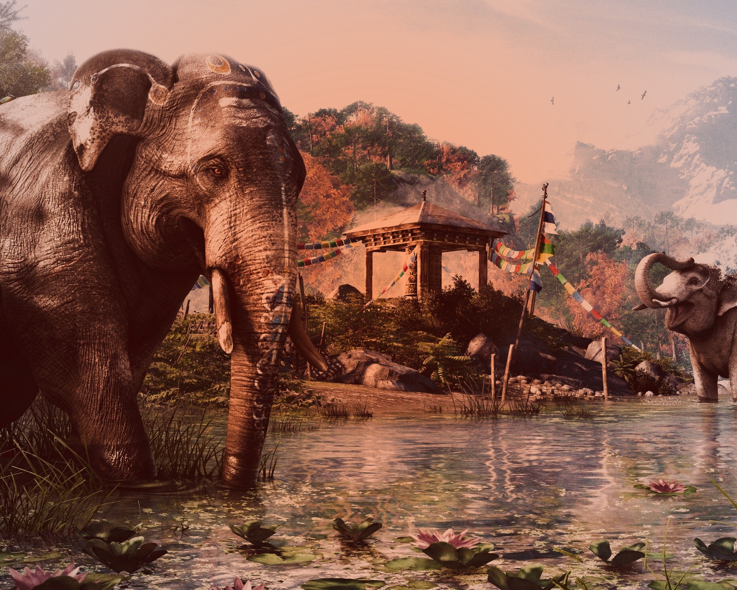 Слоники у воды обои