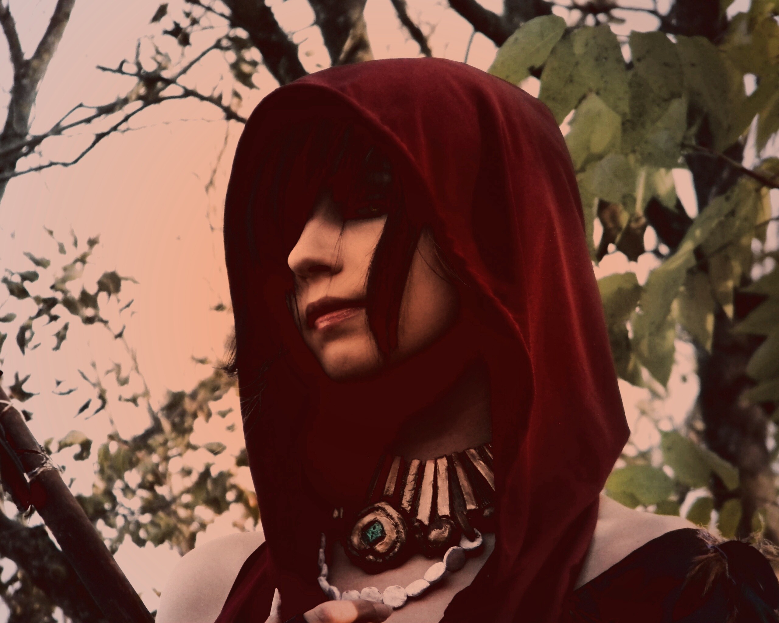 Косплей Морриган обои