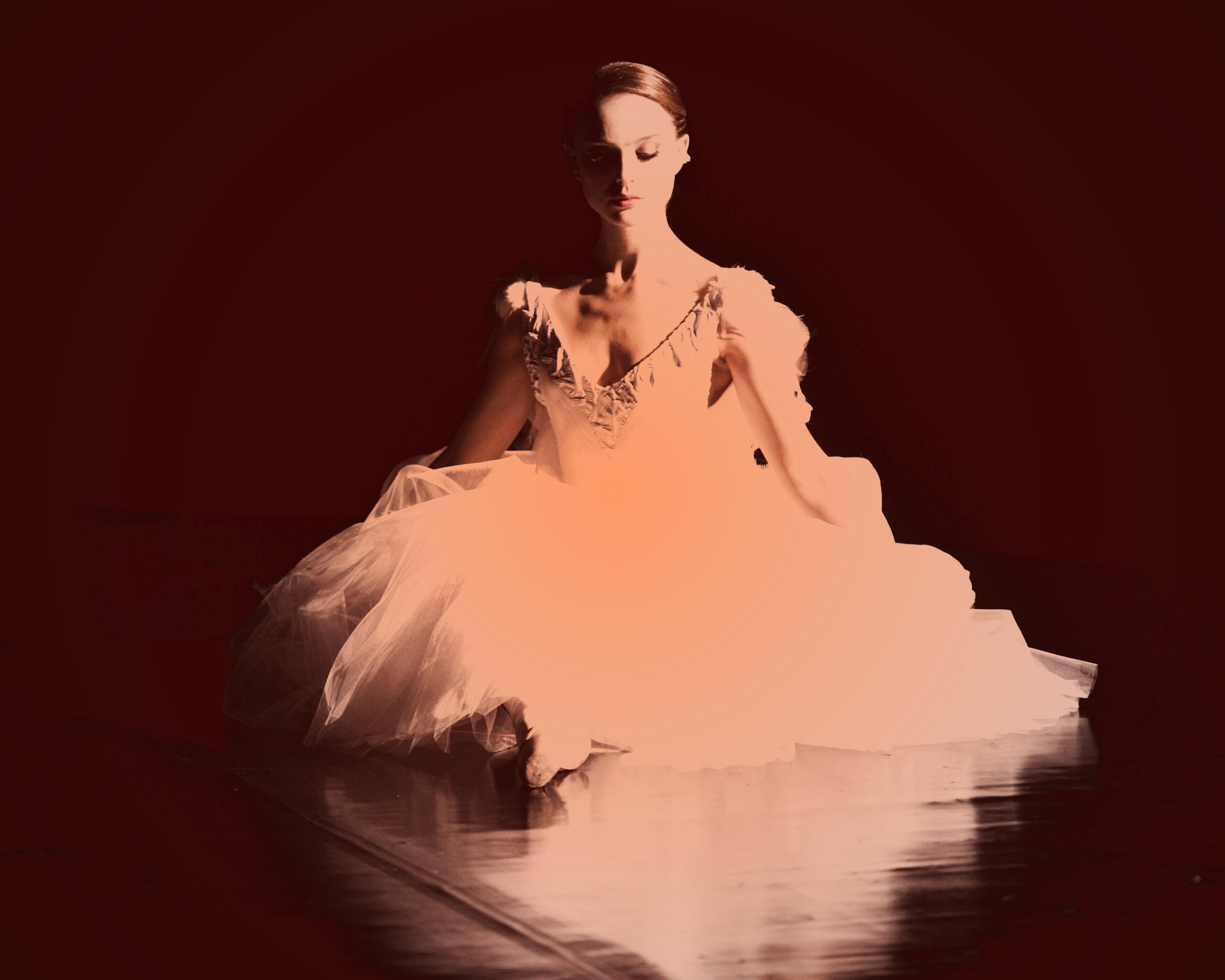 Черный лебедь обои