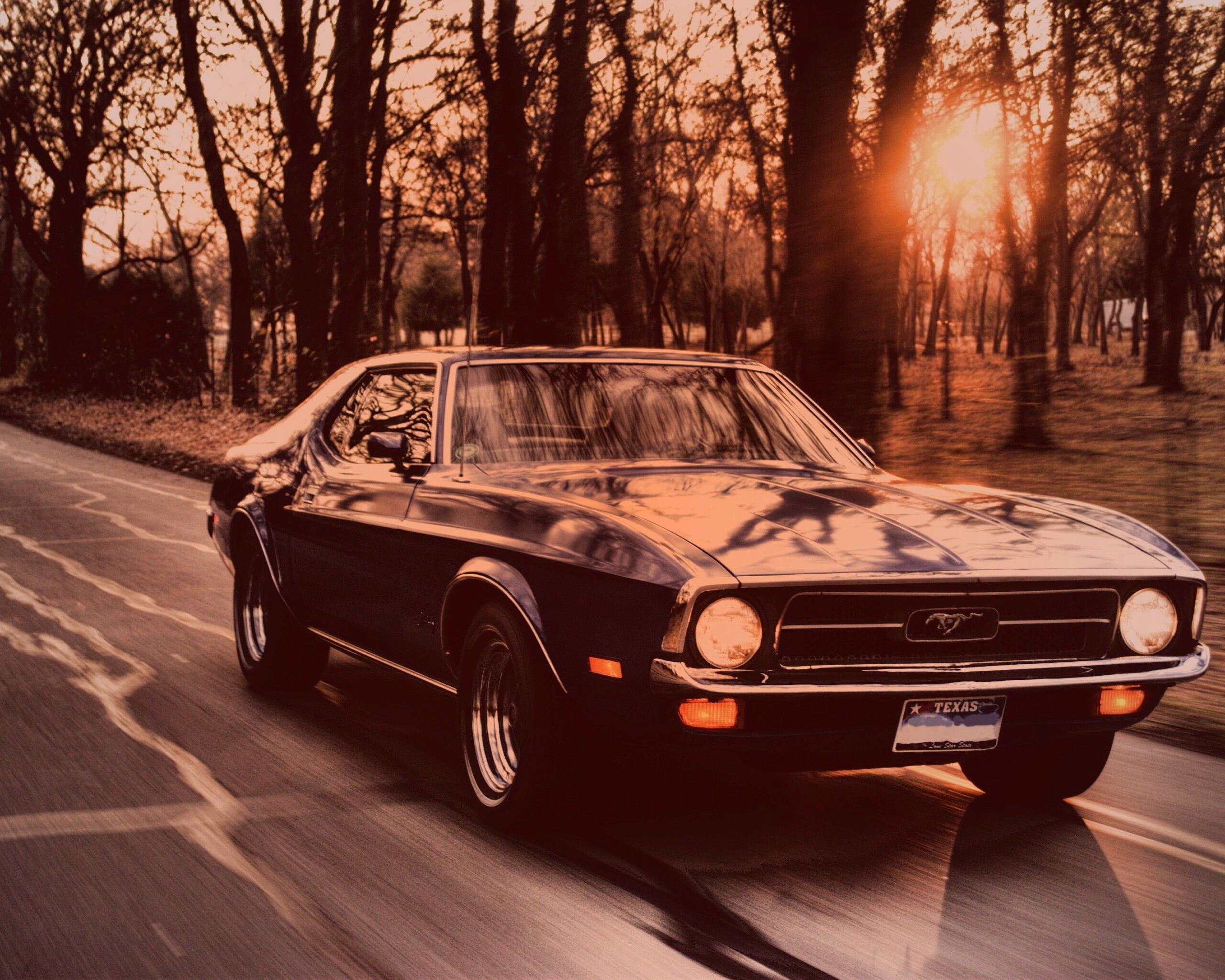 Мустанг обои