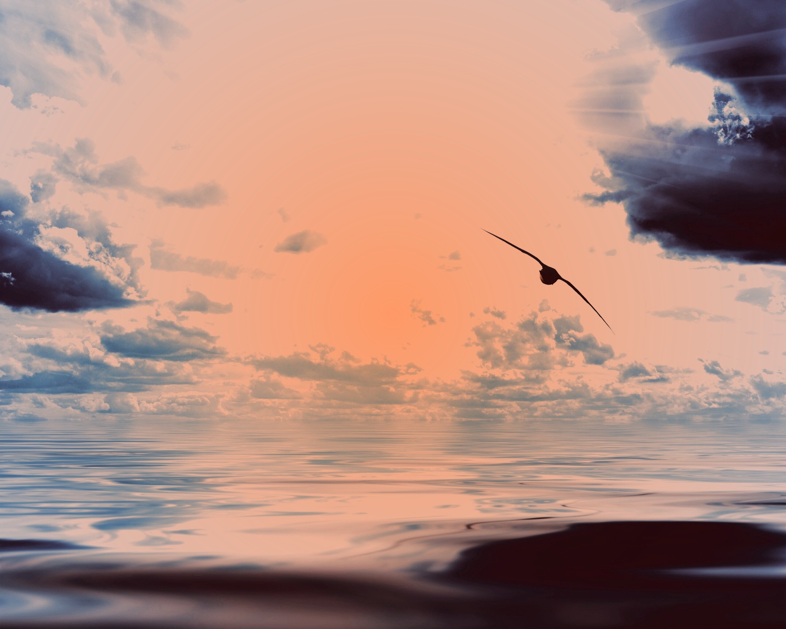 Лети как птица над волнами обои