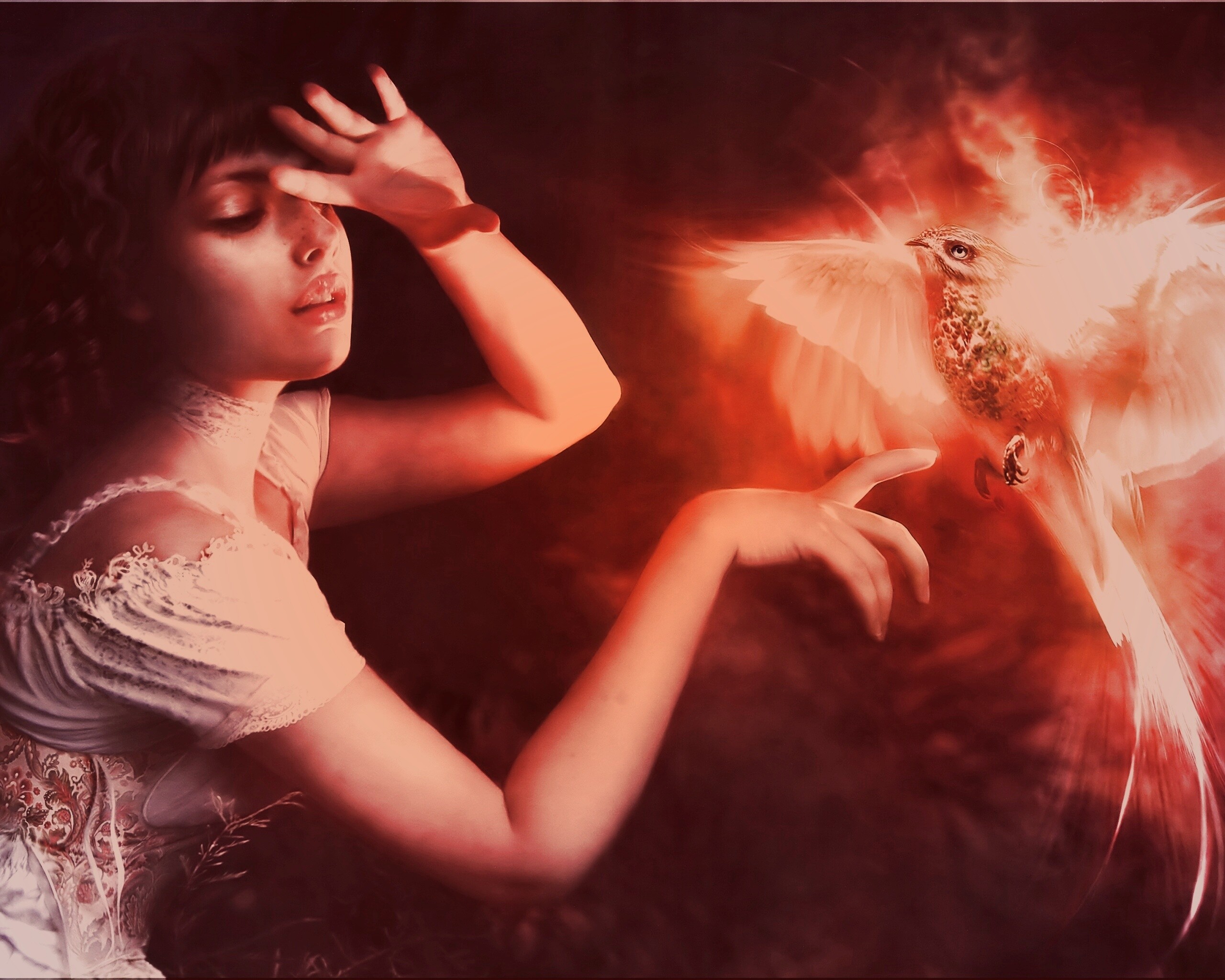 Феникс обои