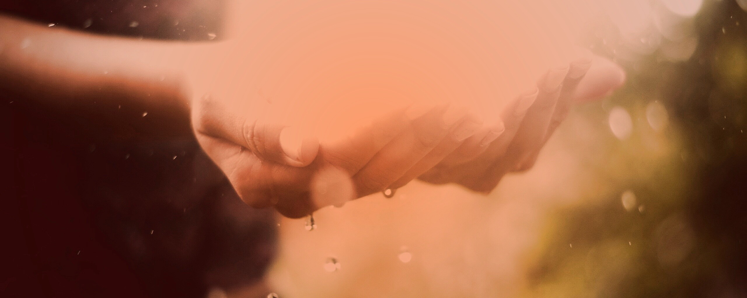 Дождь в ладонях обои