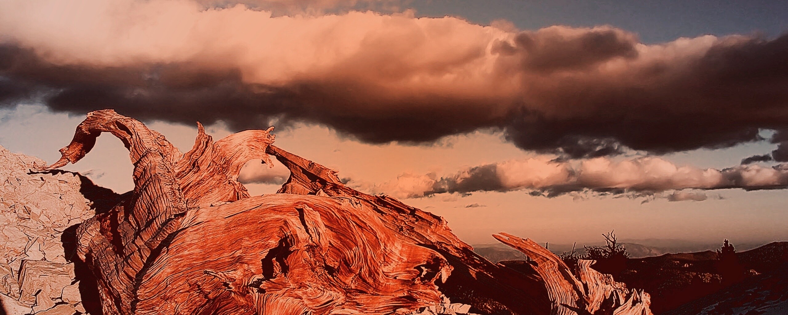 Прелести природы обои