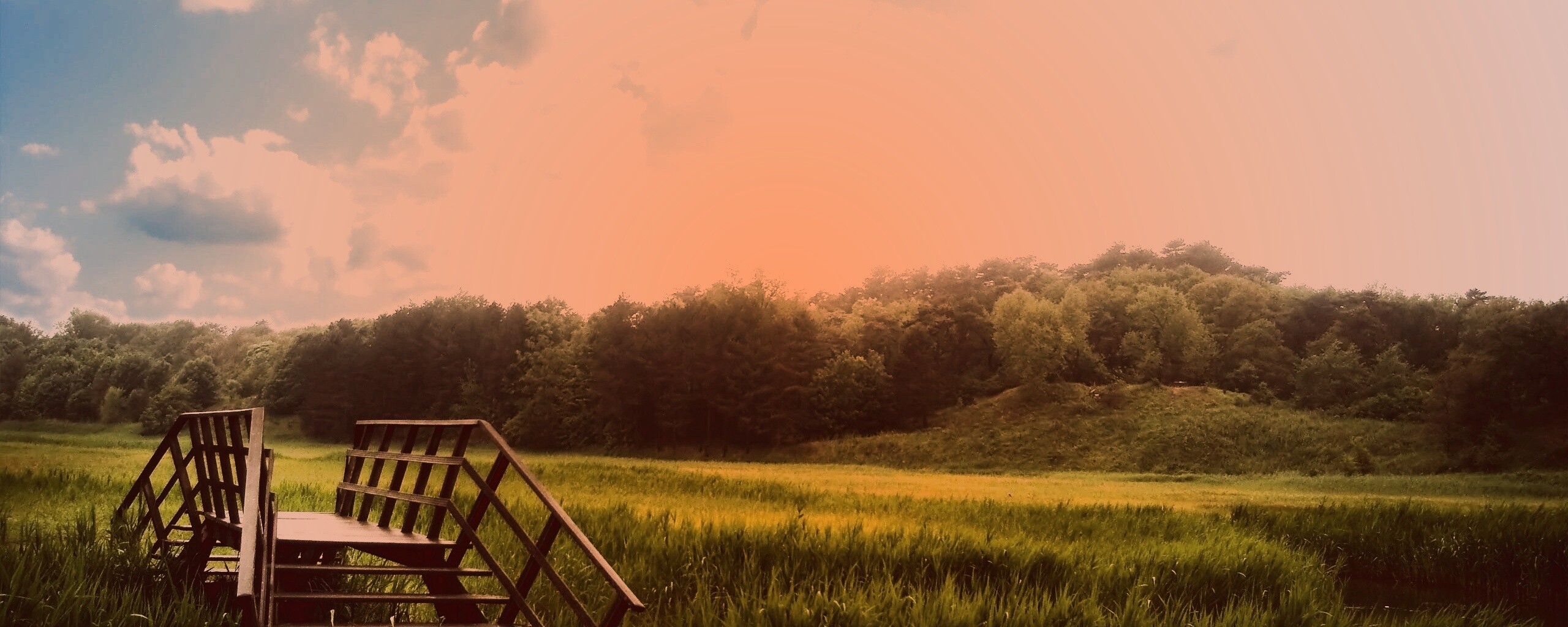 Мостик обои