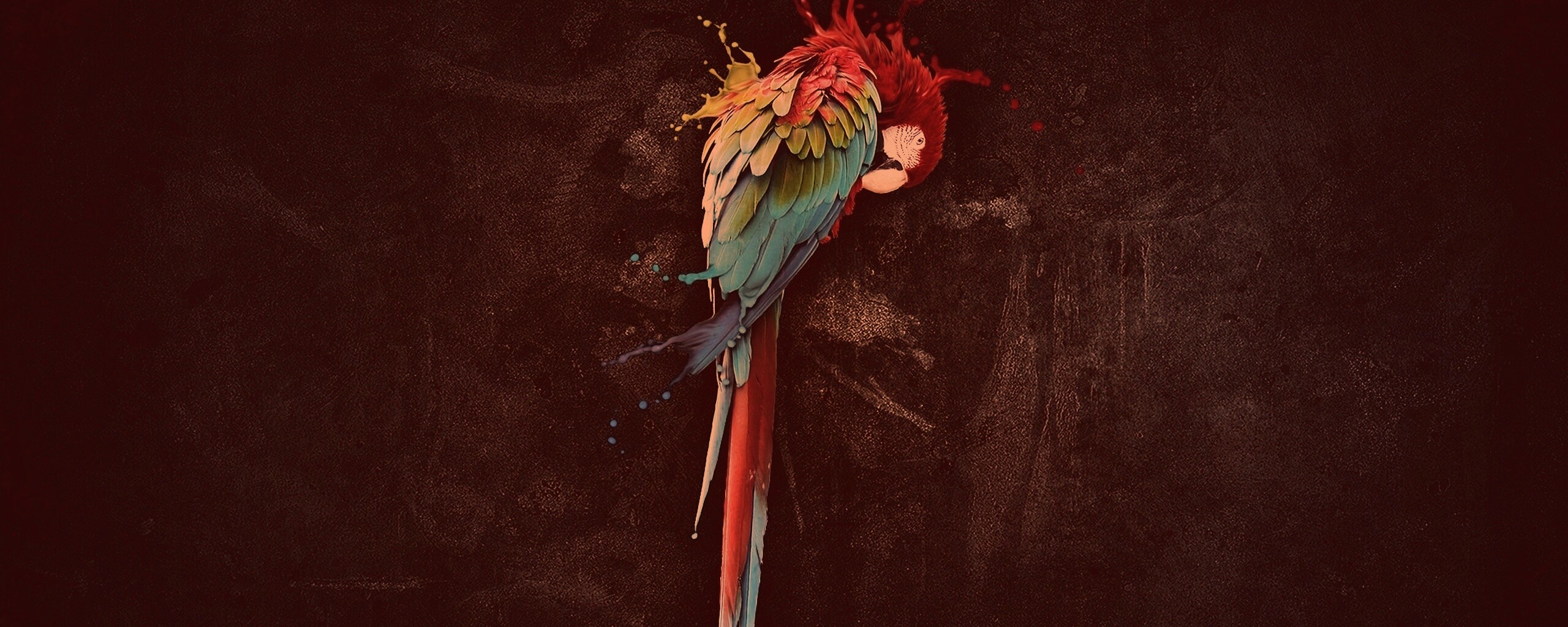 Попугай обои