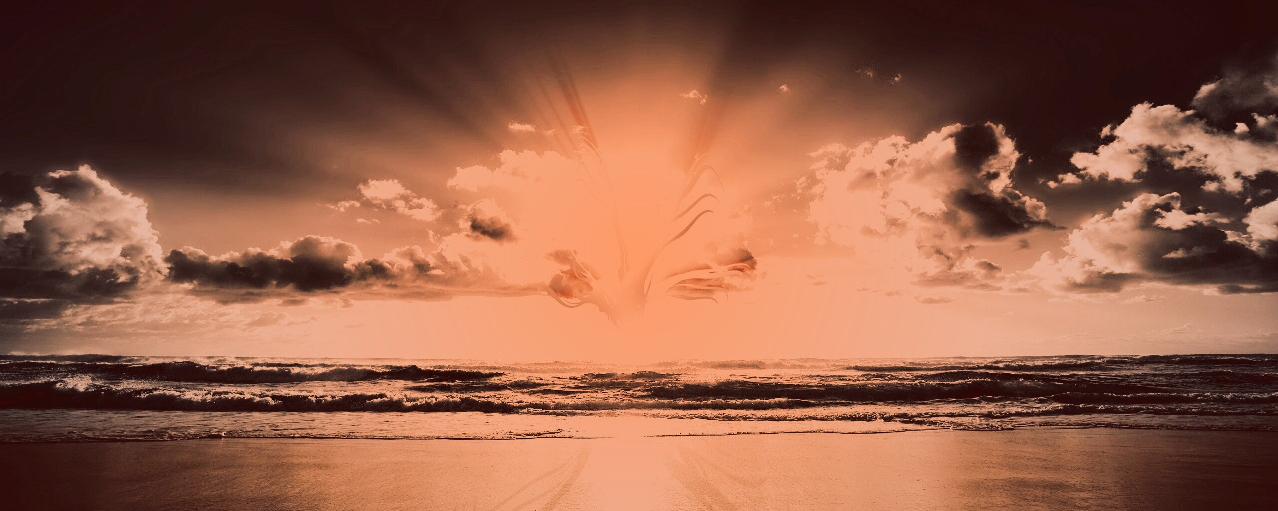 Абстрактные перья на фоне заката обои