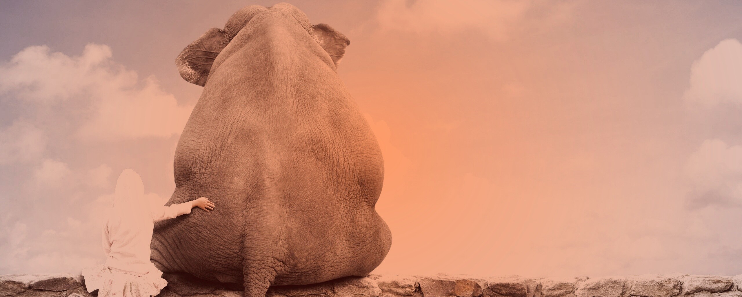 Девочка и слон обои