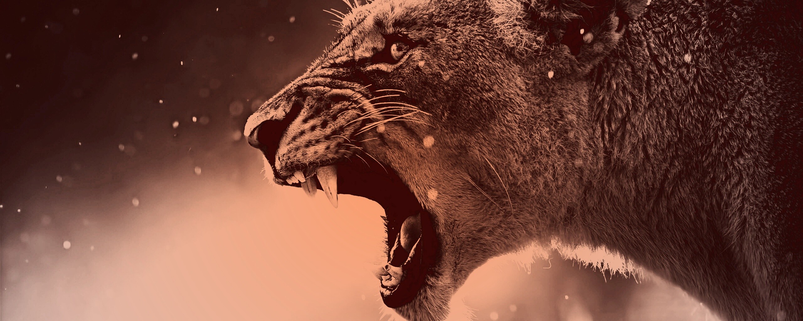 Грозный львиный рык обои