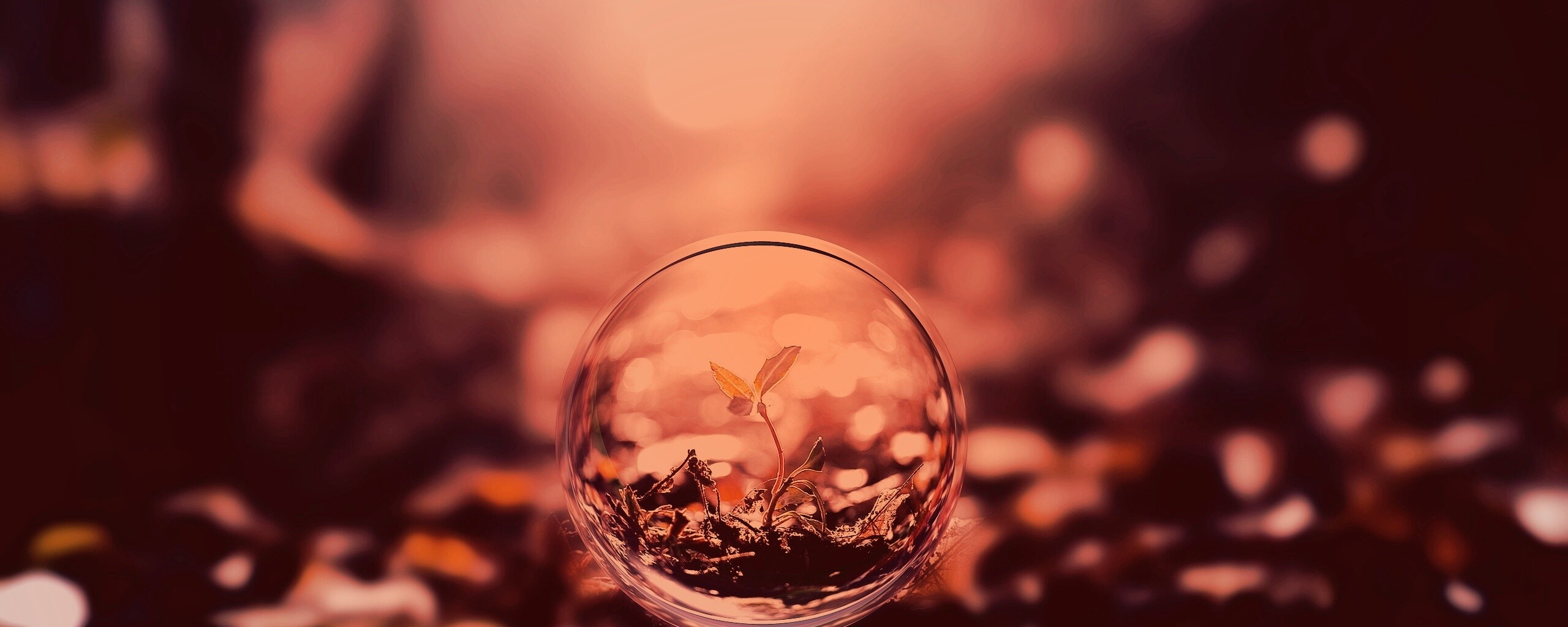 Росток в пузыре обои