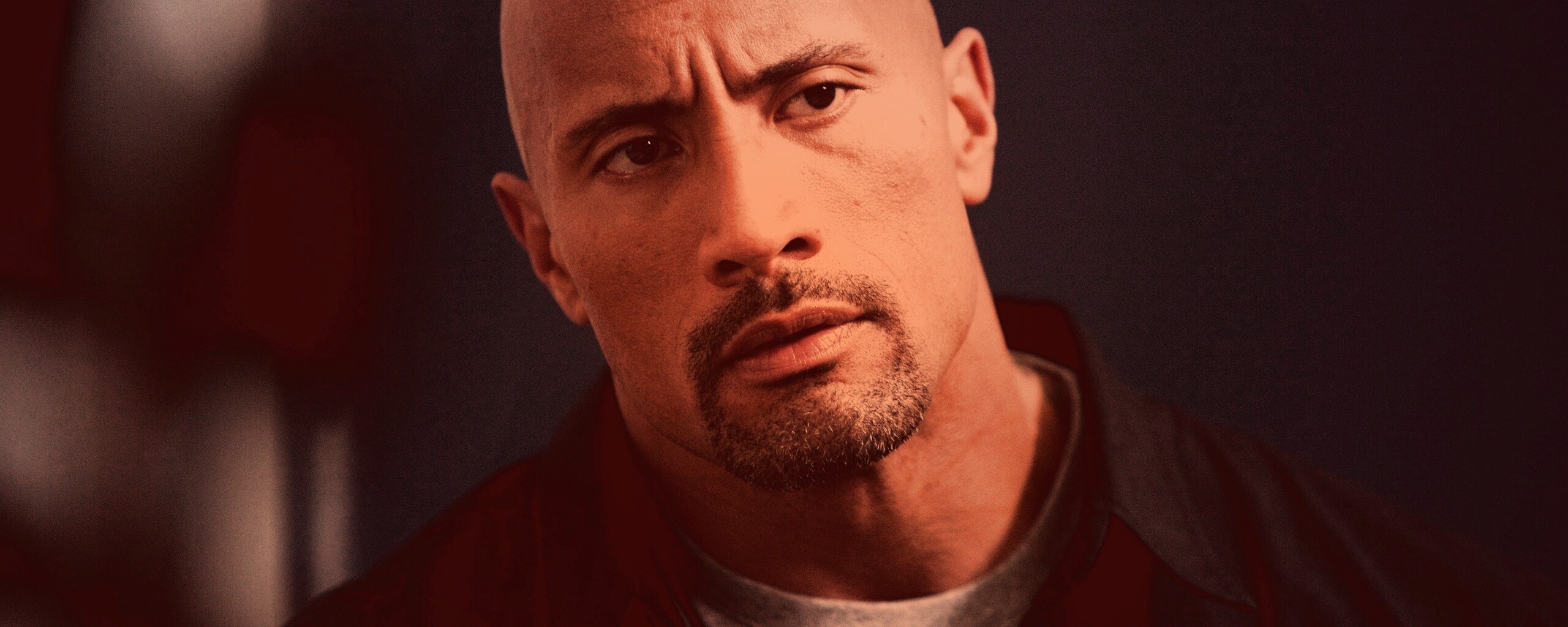 Dwayne johnson, Actor, Bald, Hair, Celebrity обои